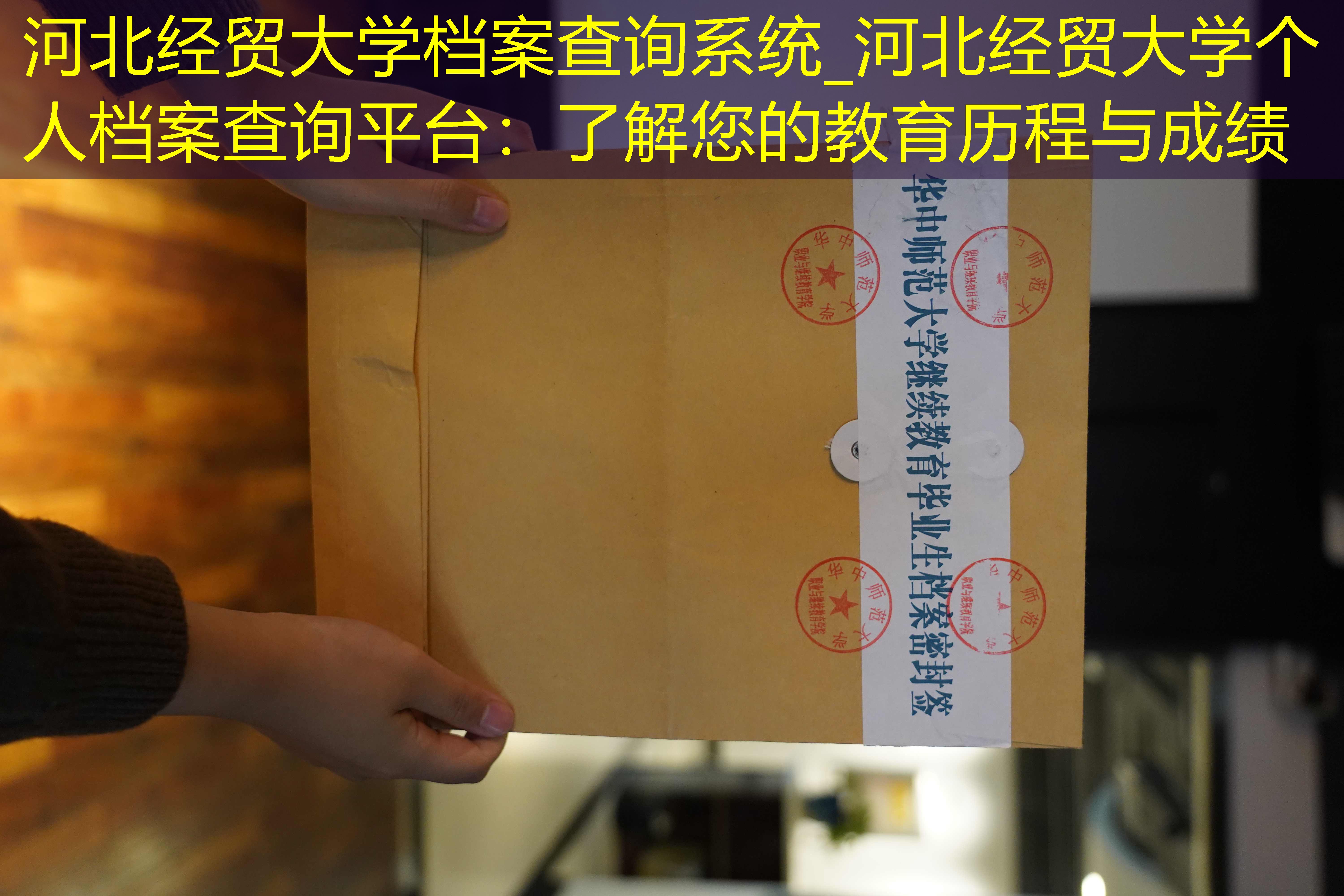 档案查询