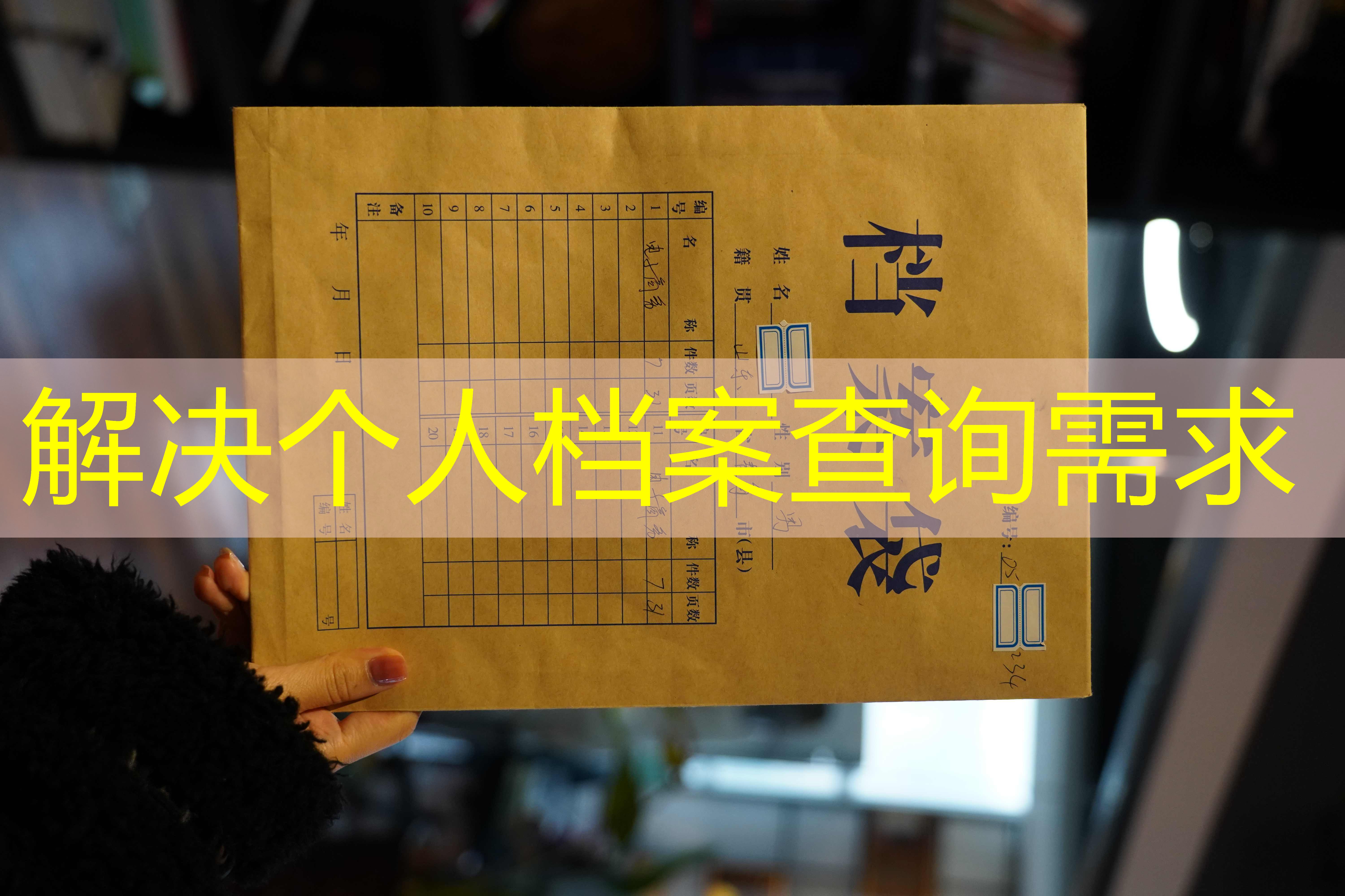 档案查询