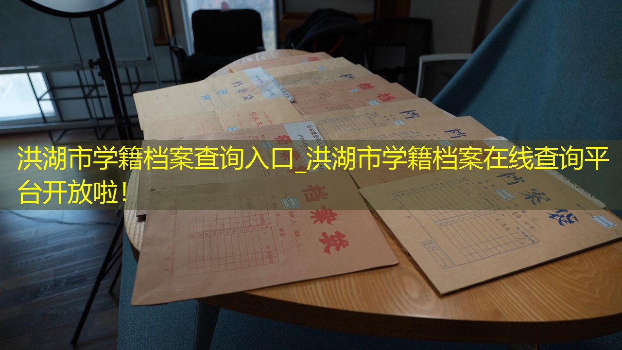 档案查询