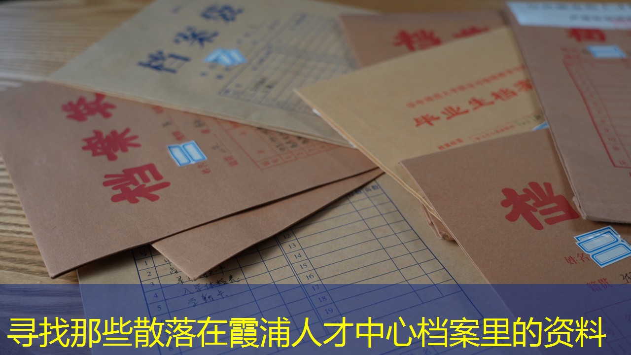 档案查询