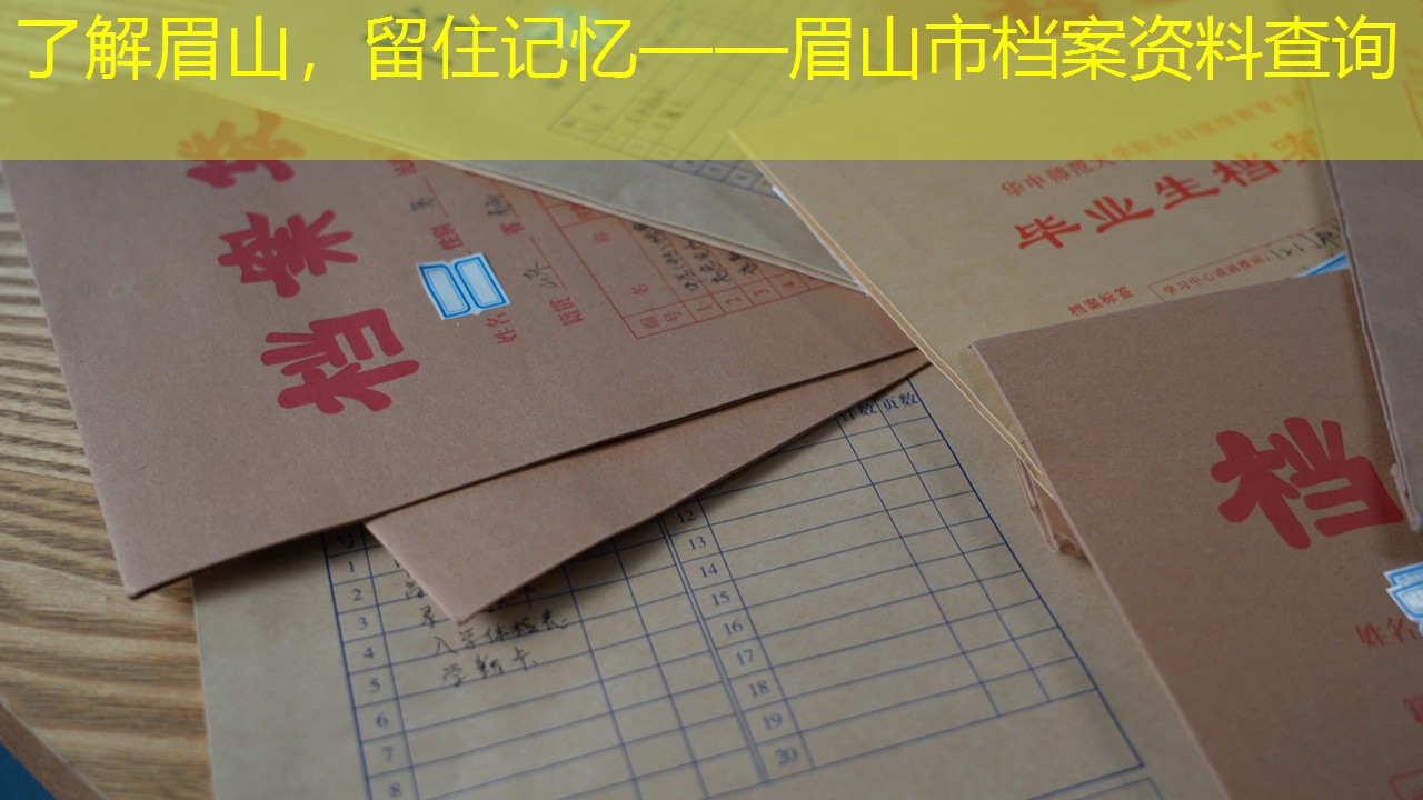 档案查询