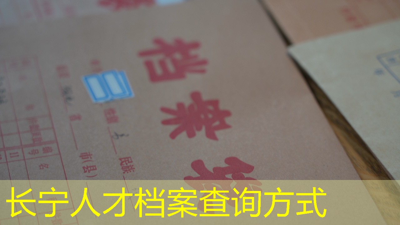 档案查询