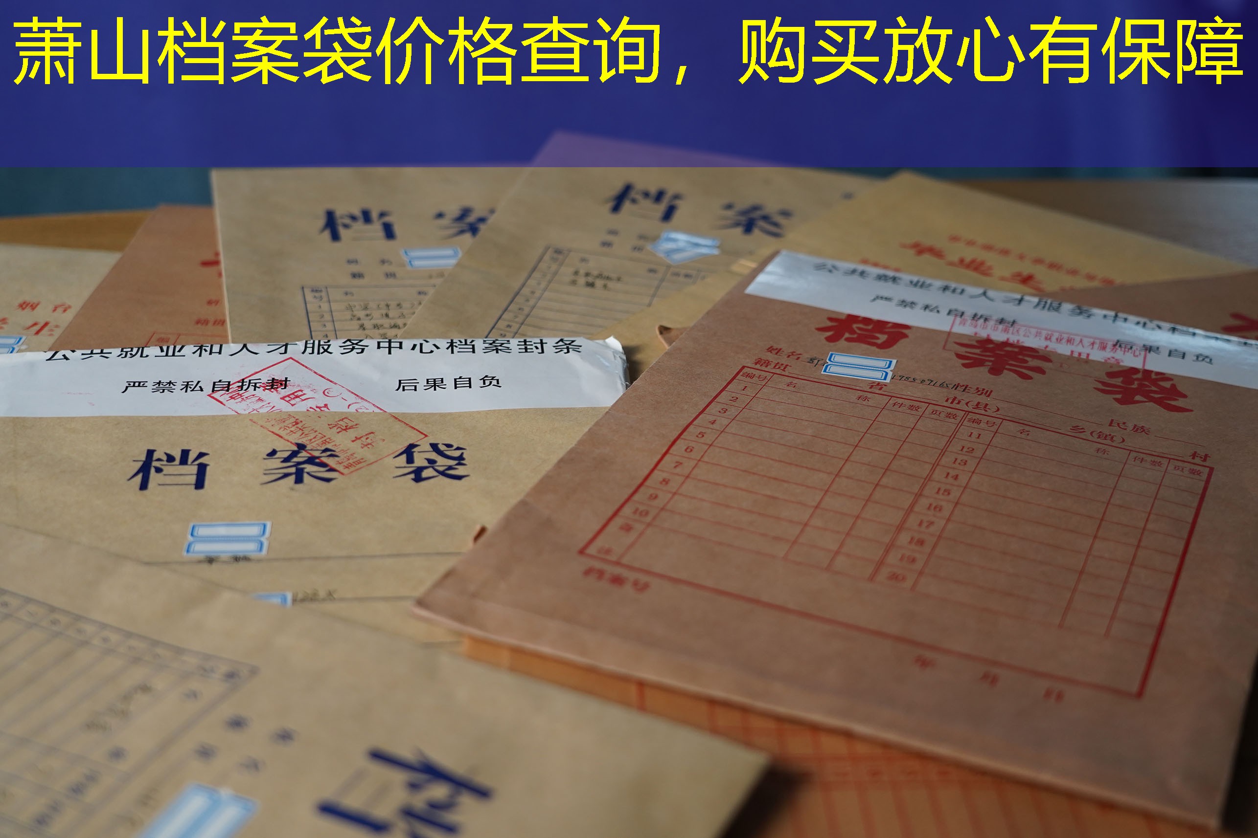 档案查询