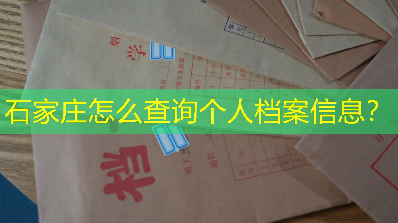 档案查询