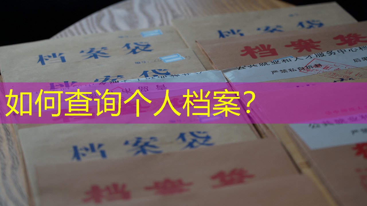 档案查询