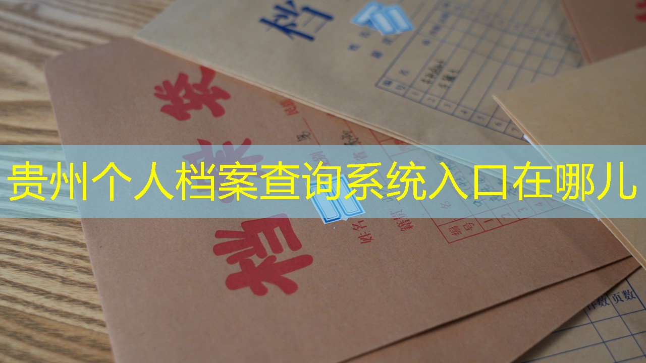 档案查询