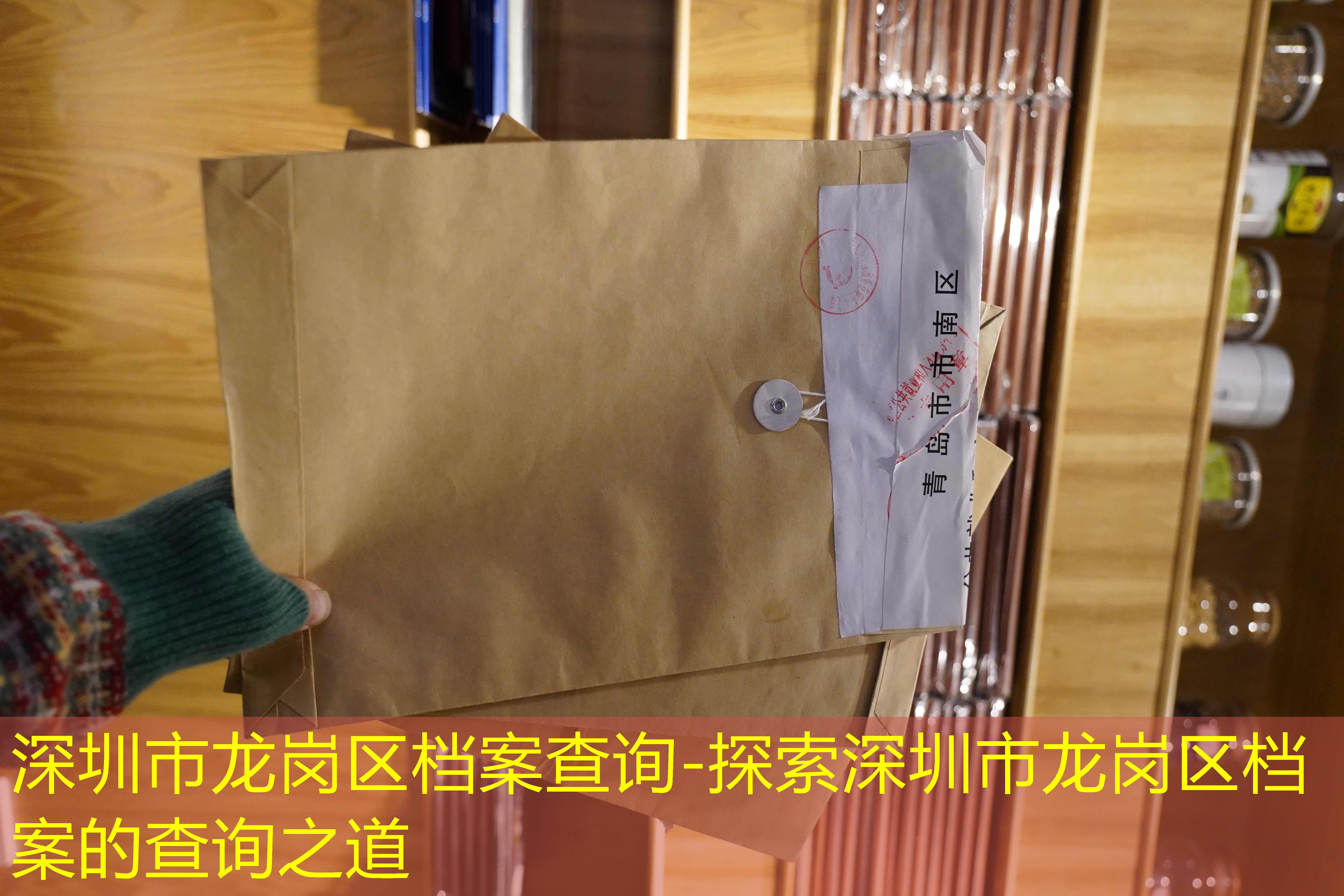 档案查询