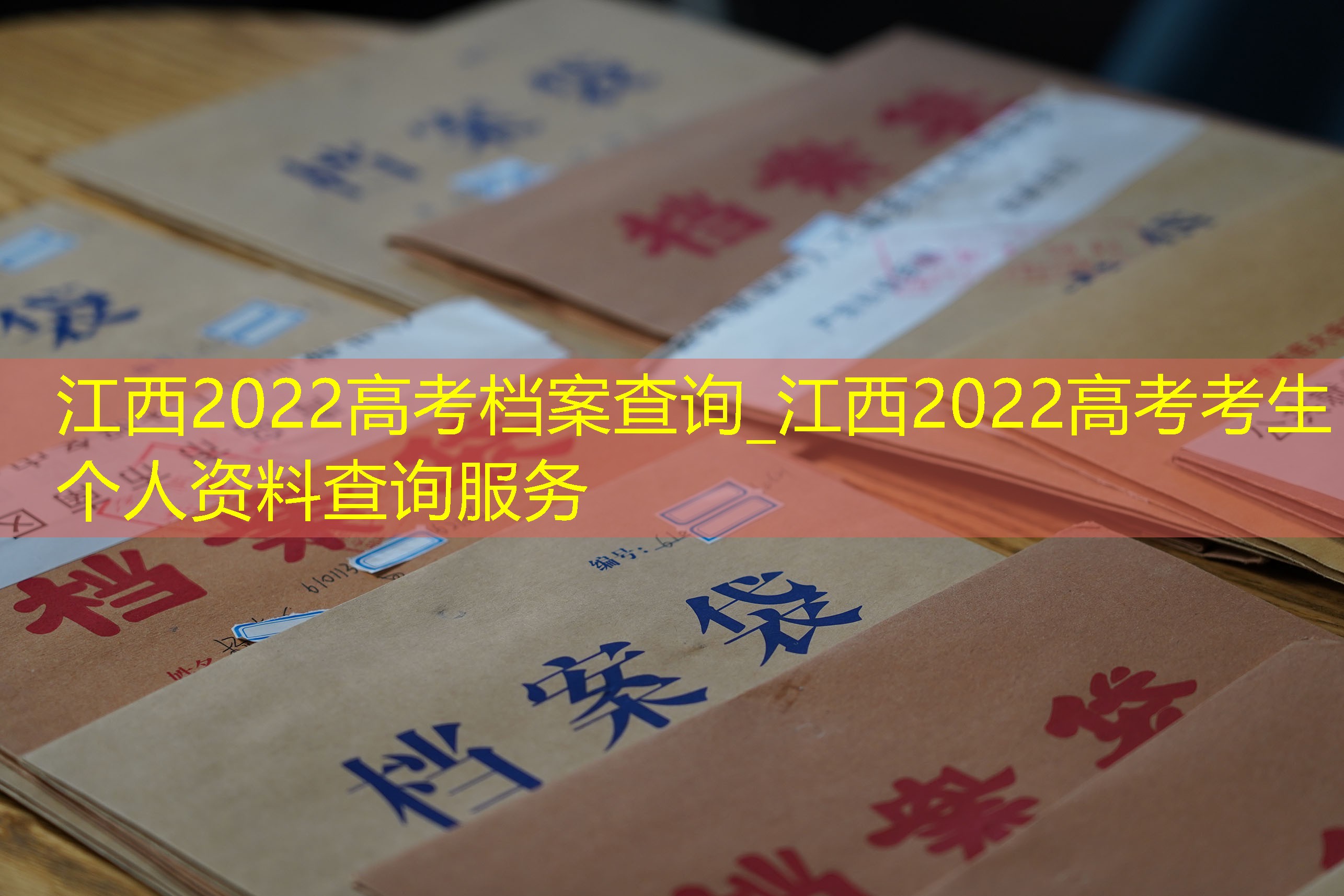 档案查询