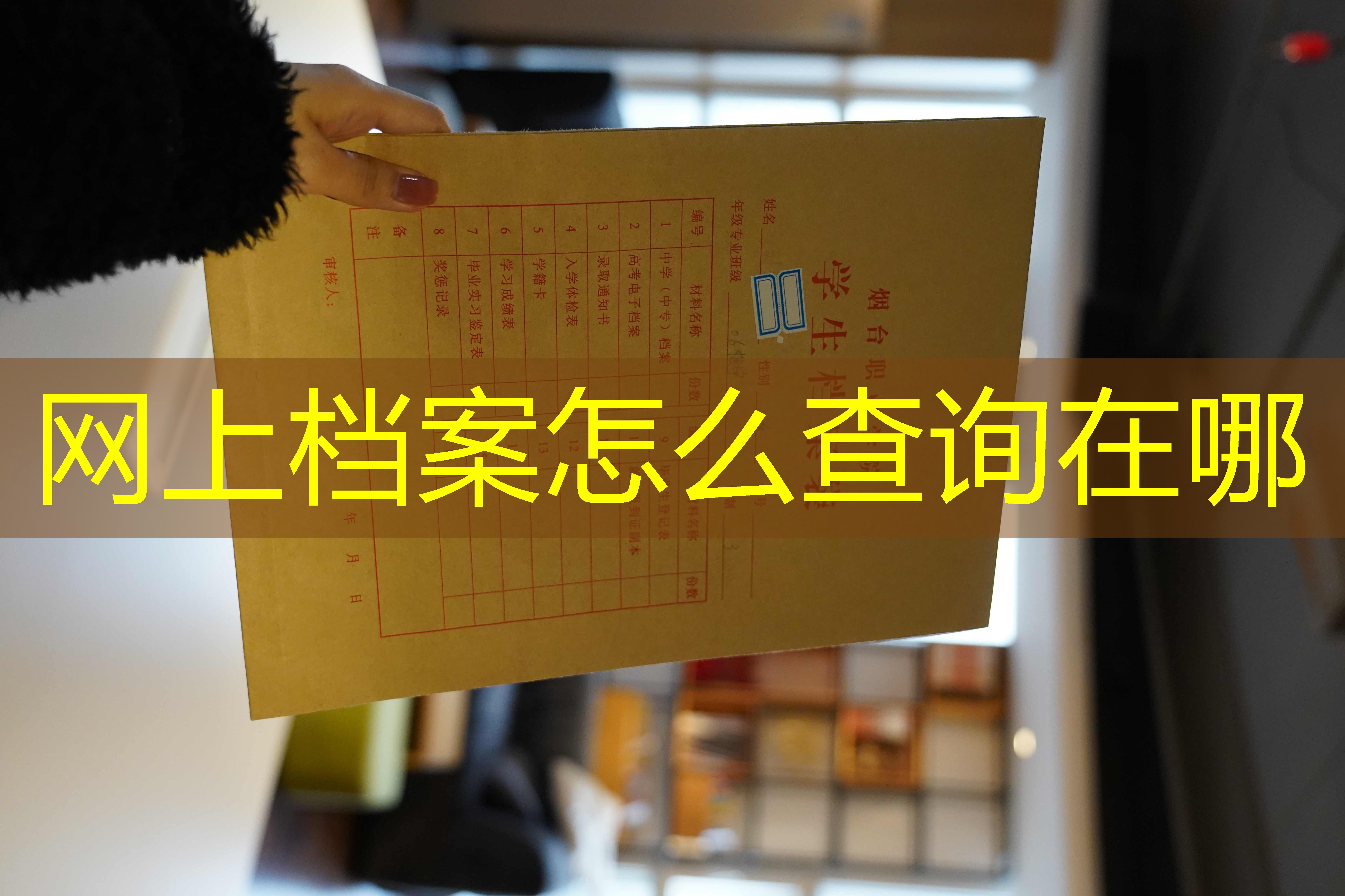 档案查询