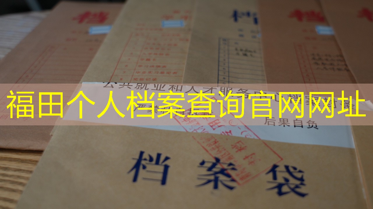 档案查询
