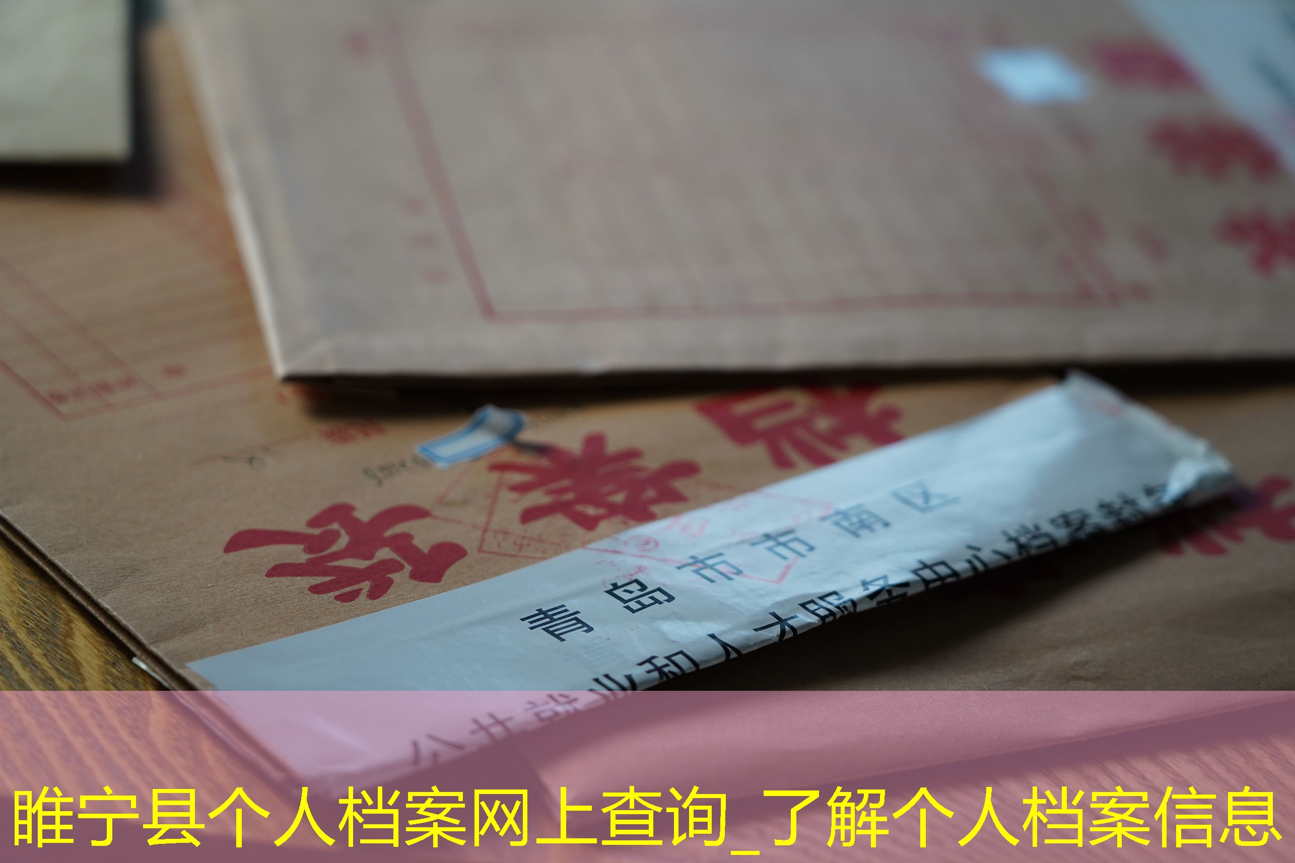 档案查询