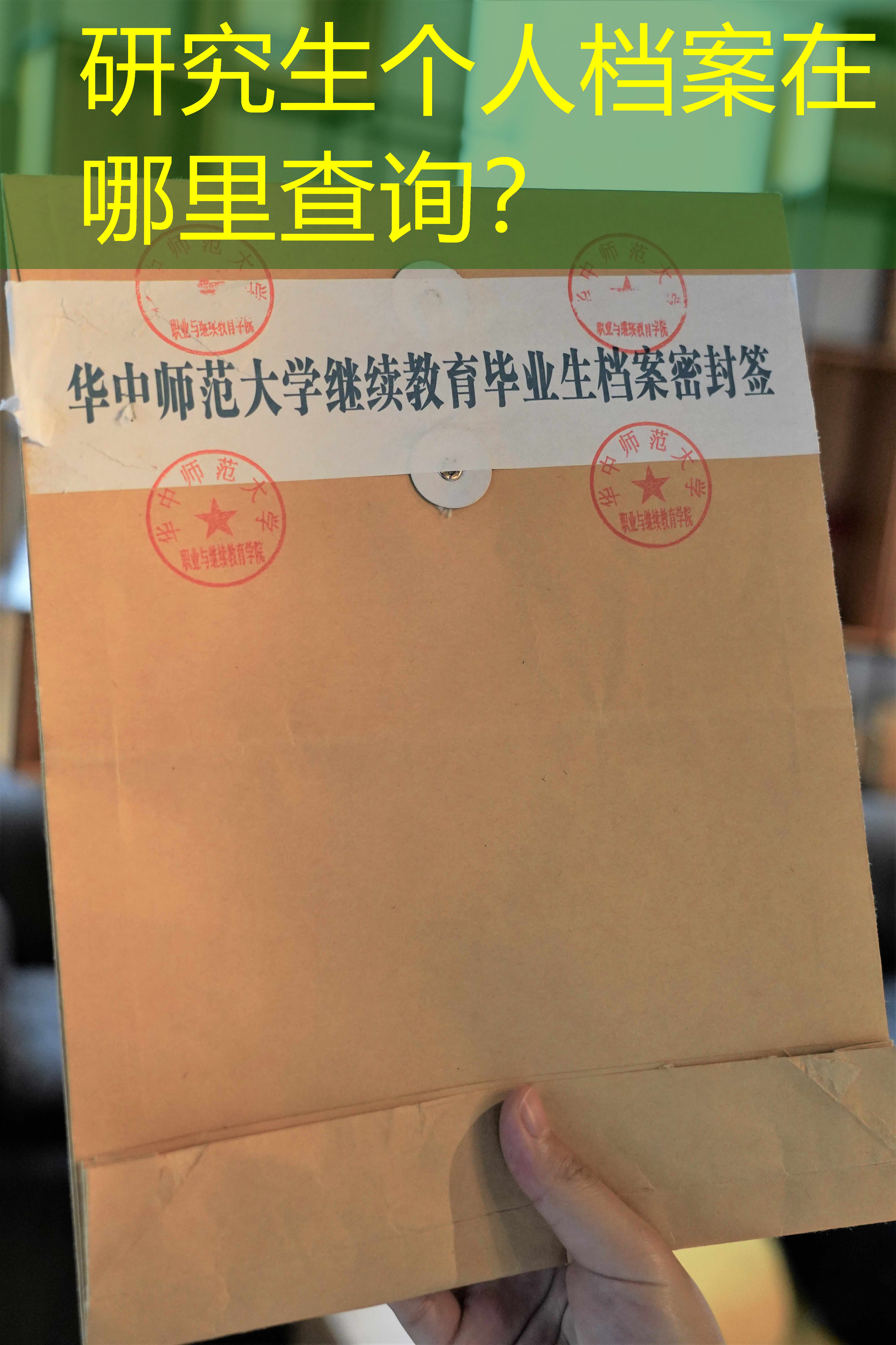 档案查询