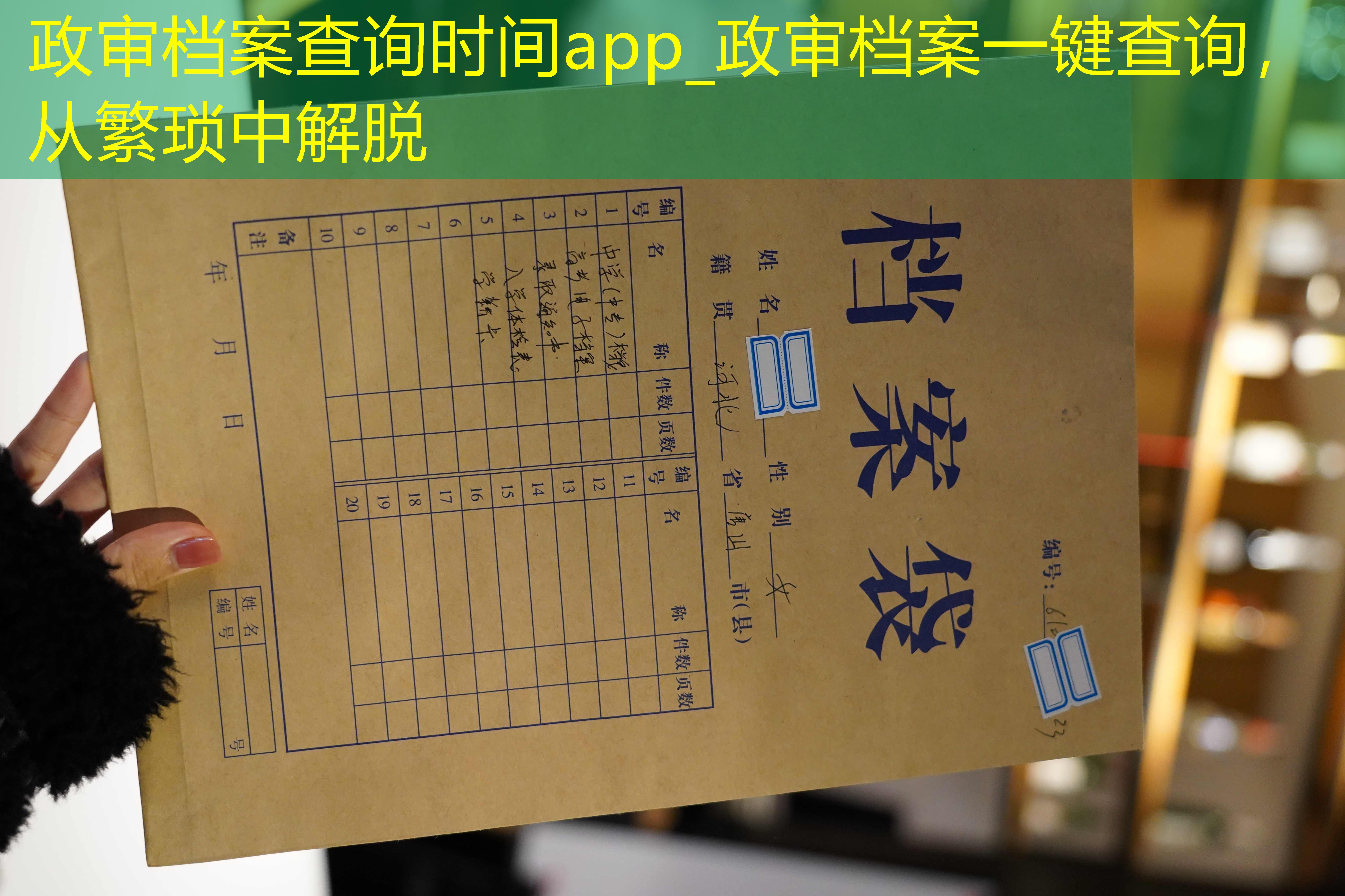 档案查询
