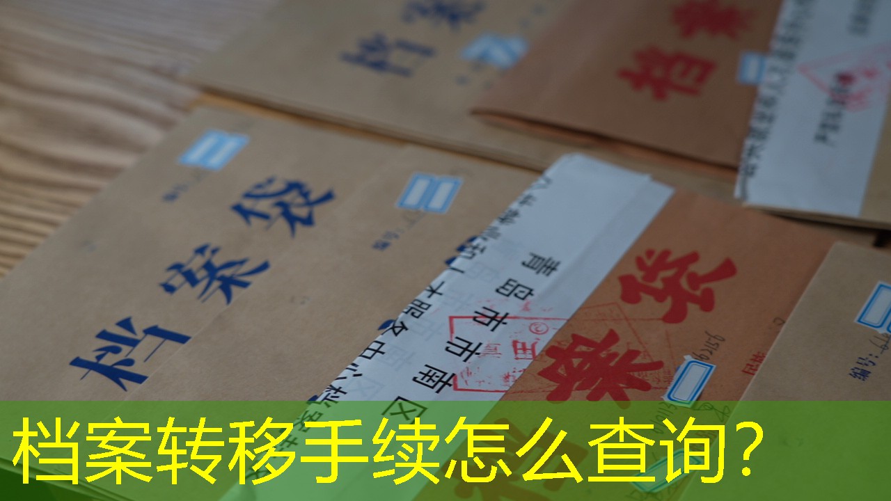 档案查询