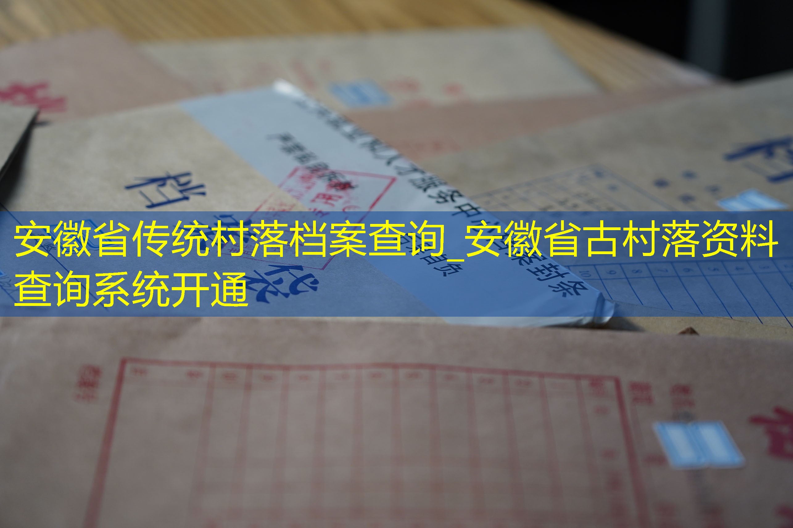 档案查询