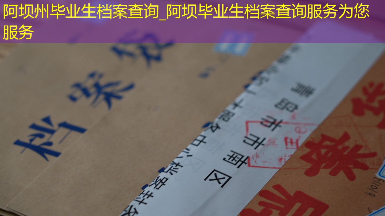 档案查询