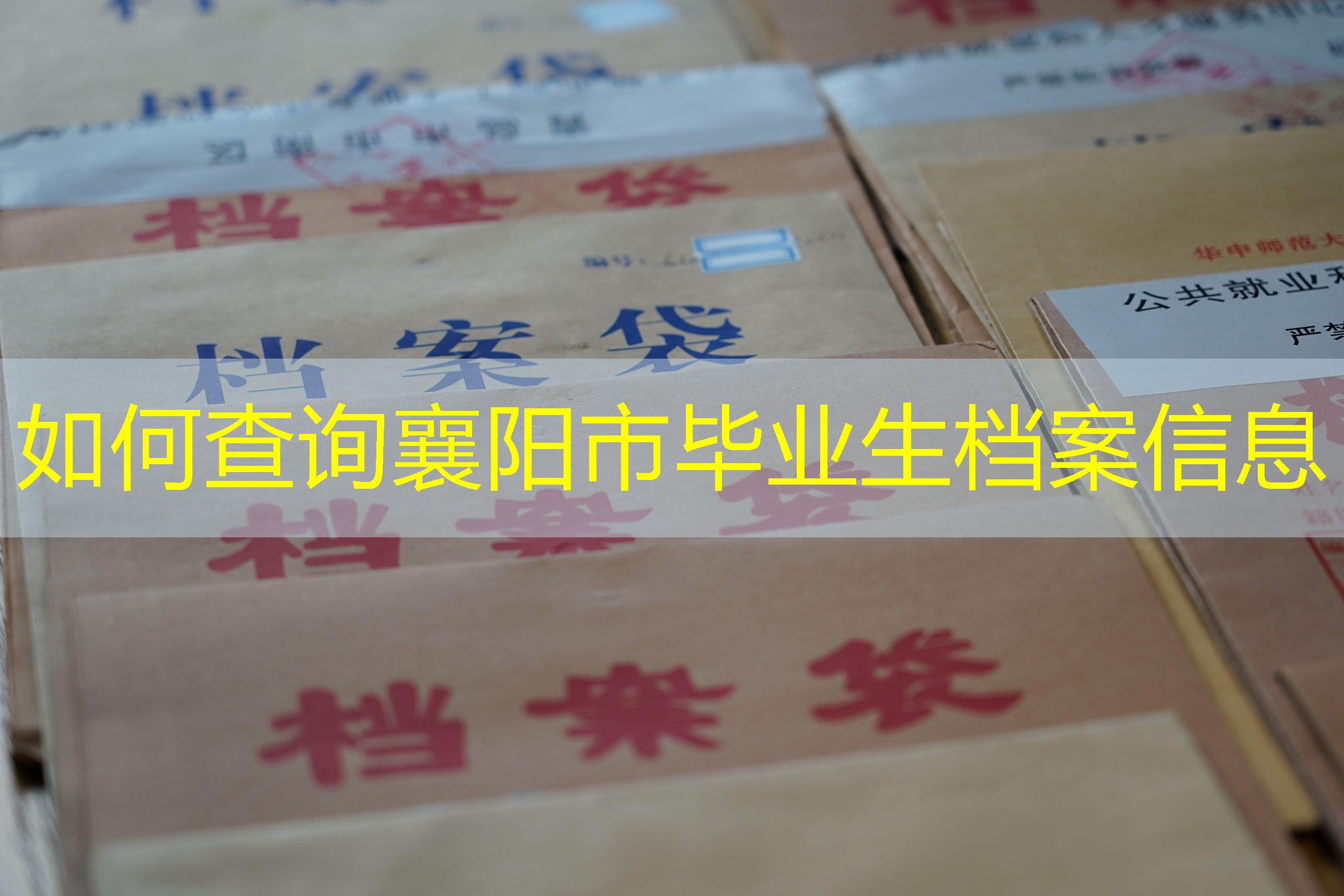 档案查询