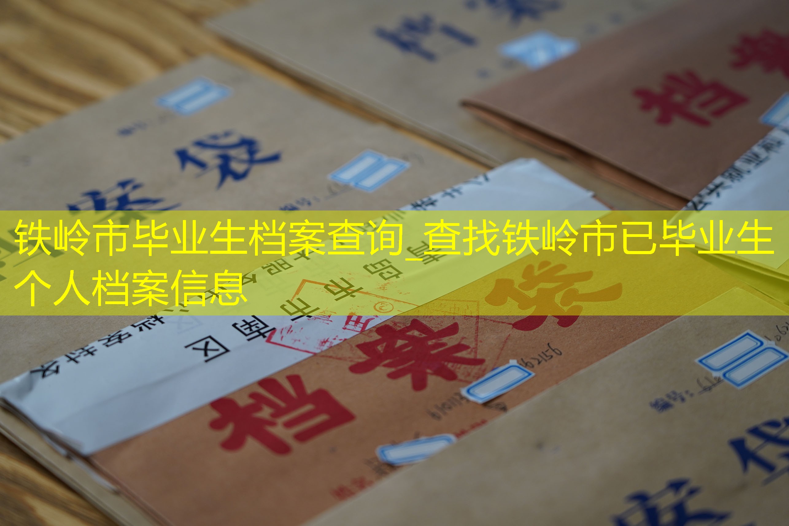 档案查询