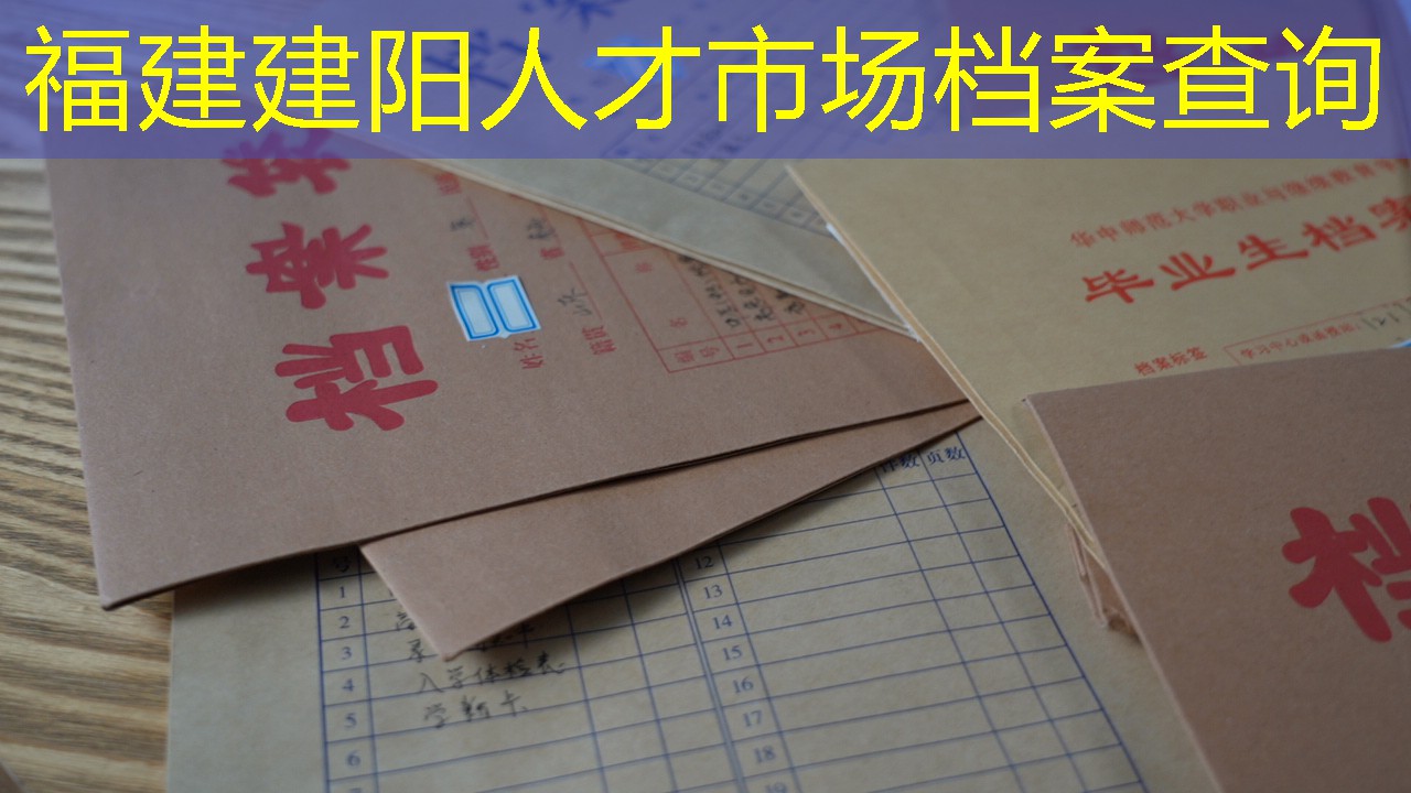 档案查询