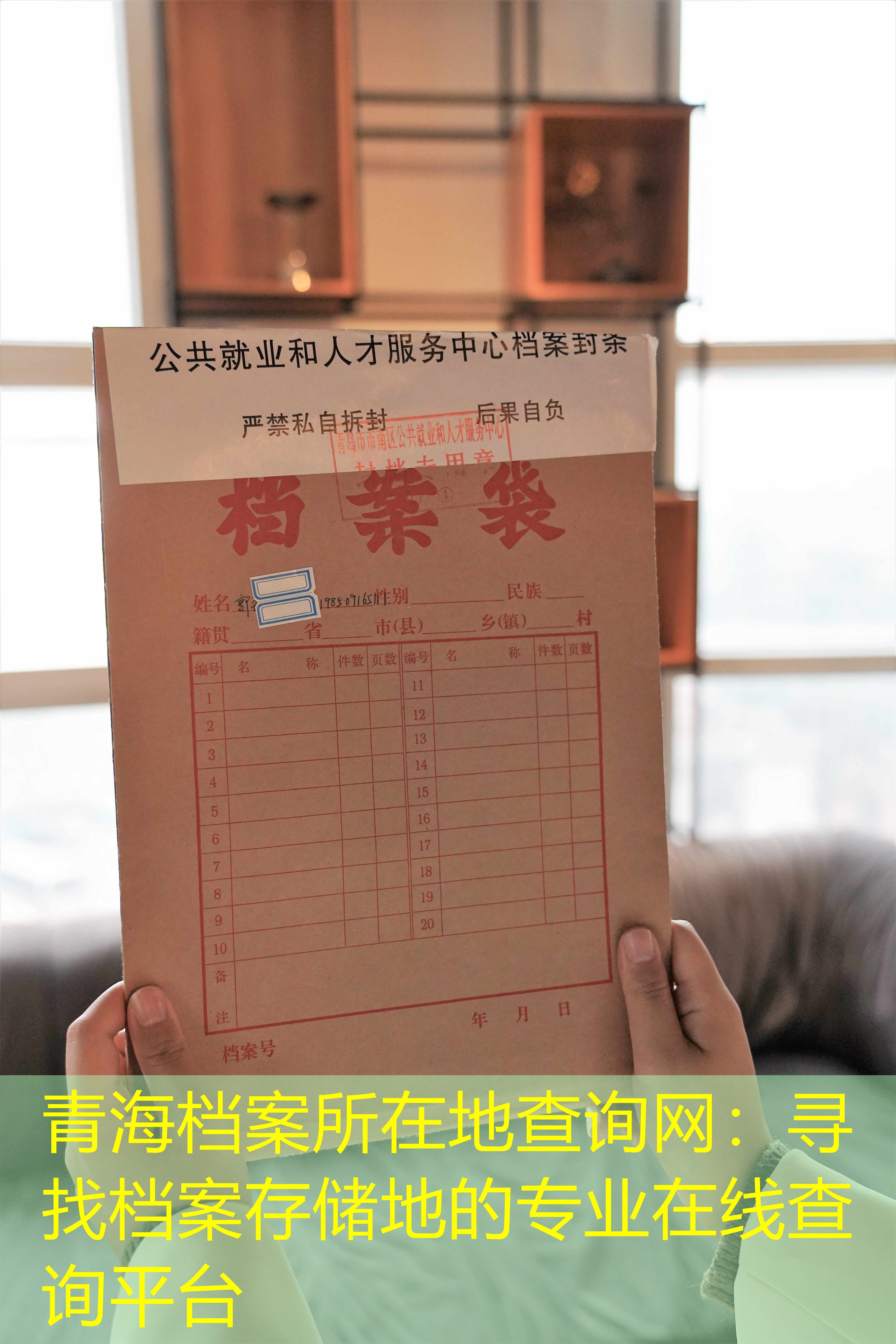 档案查询