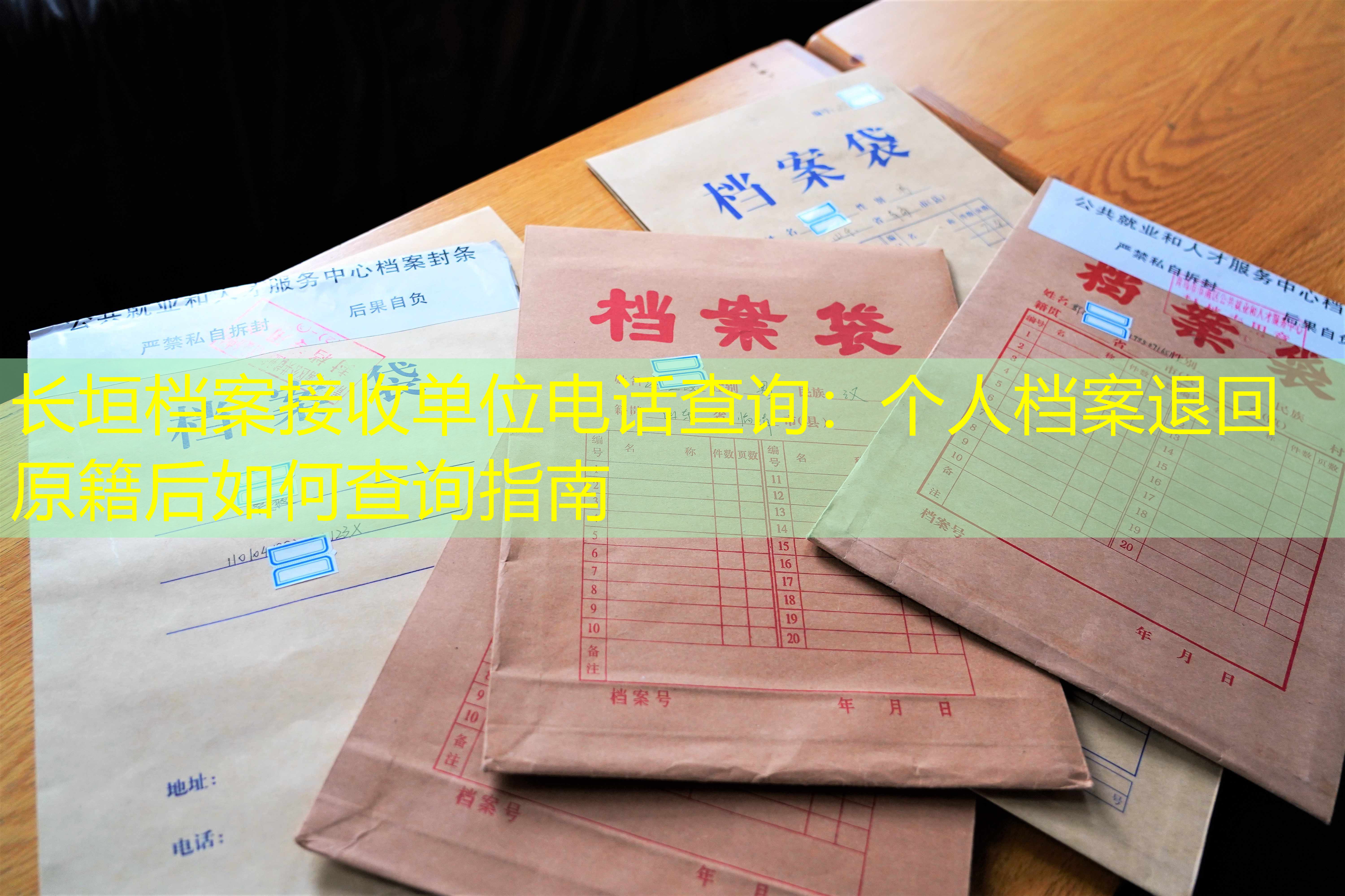 档案查询