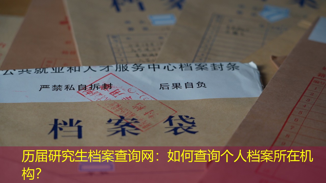 档案查询