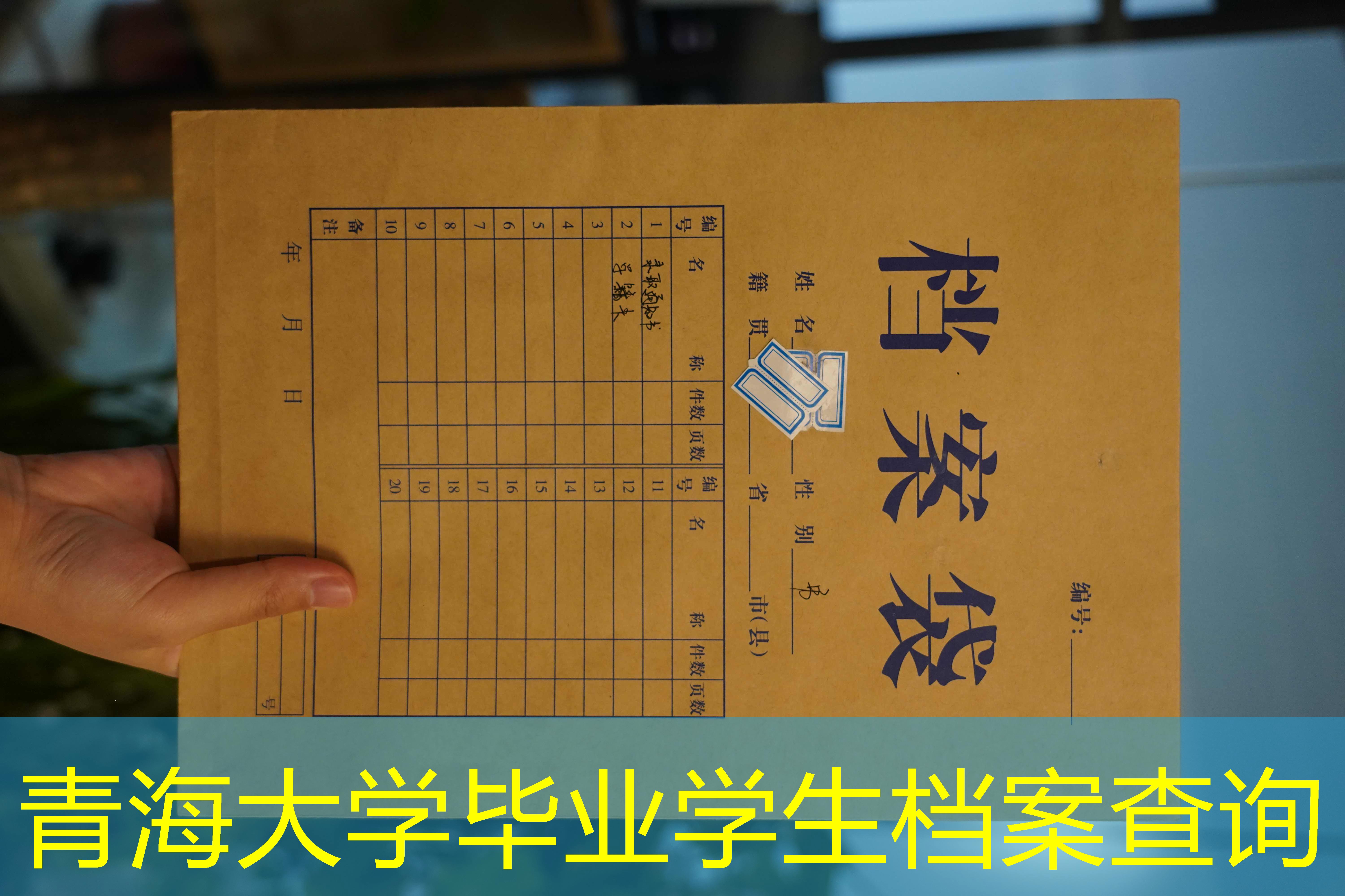档案查询
