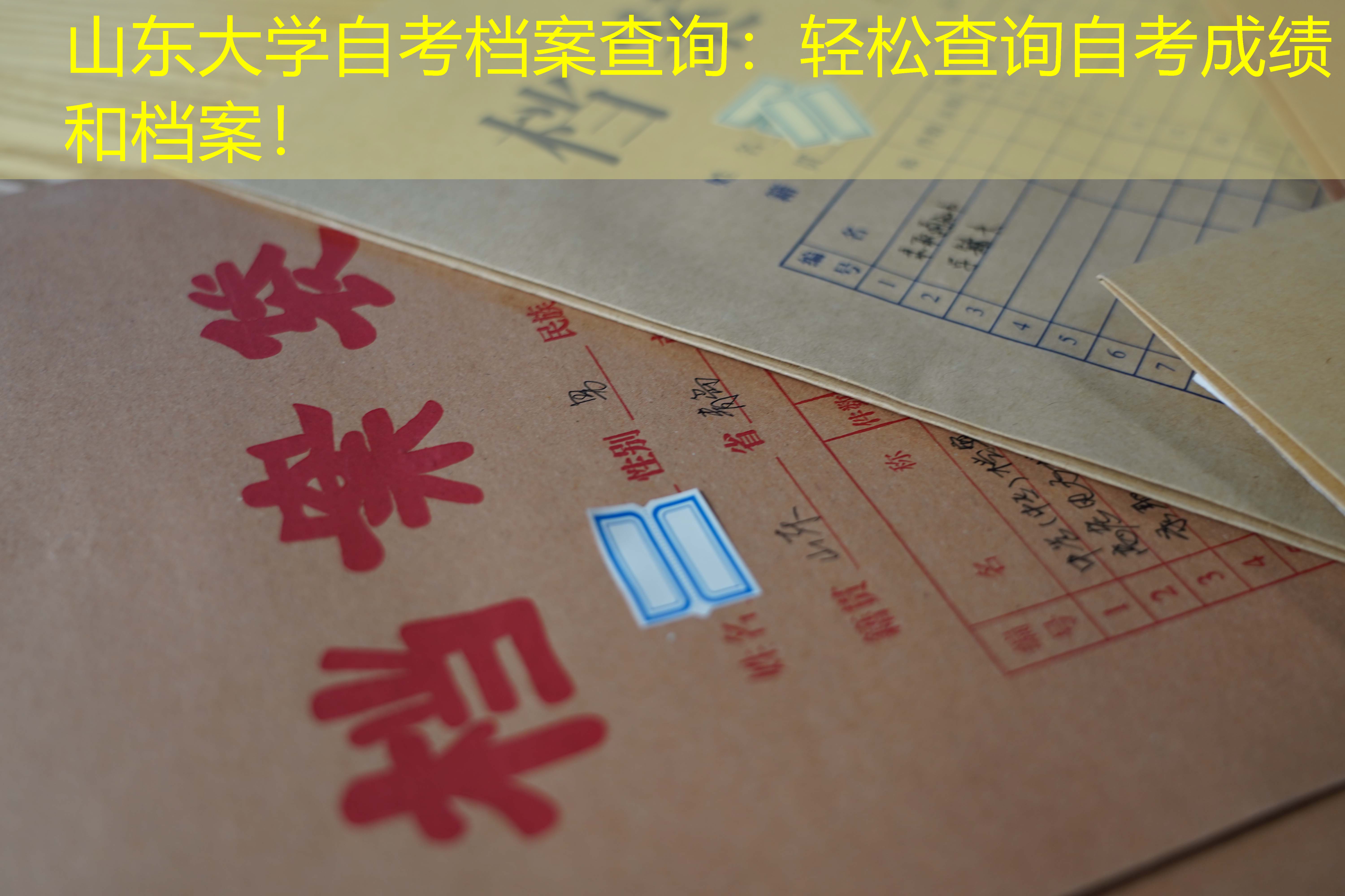 档案查询