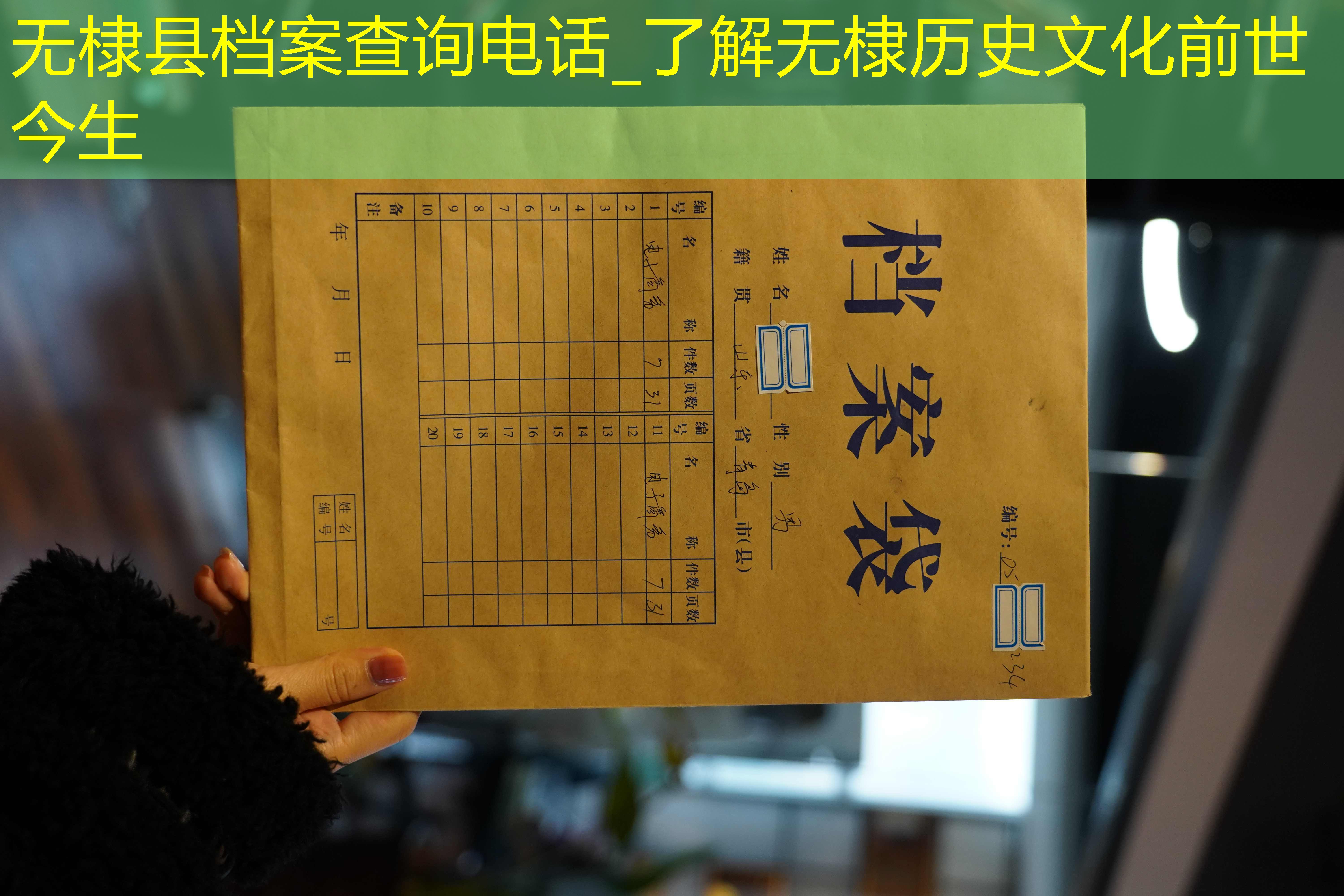 档案查询