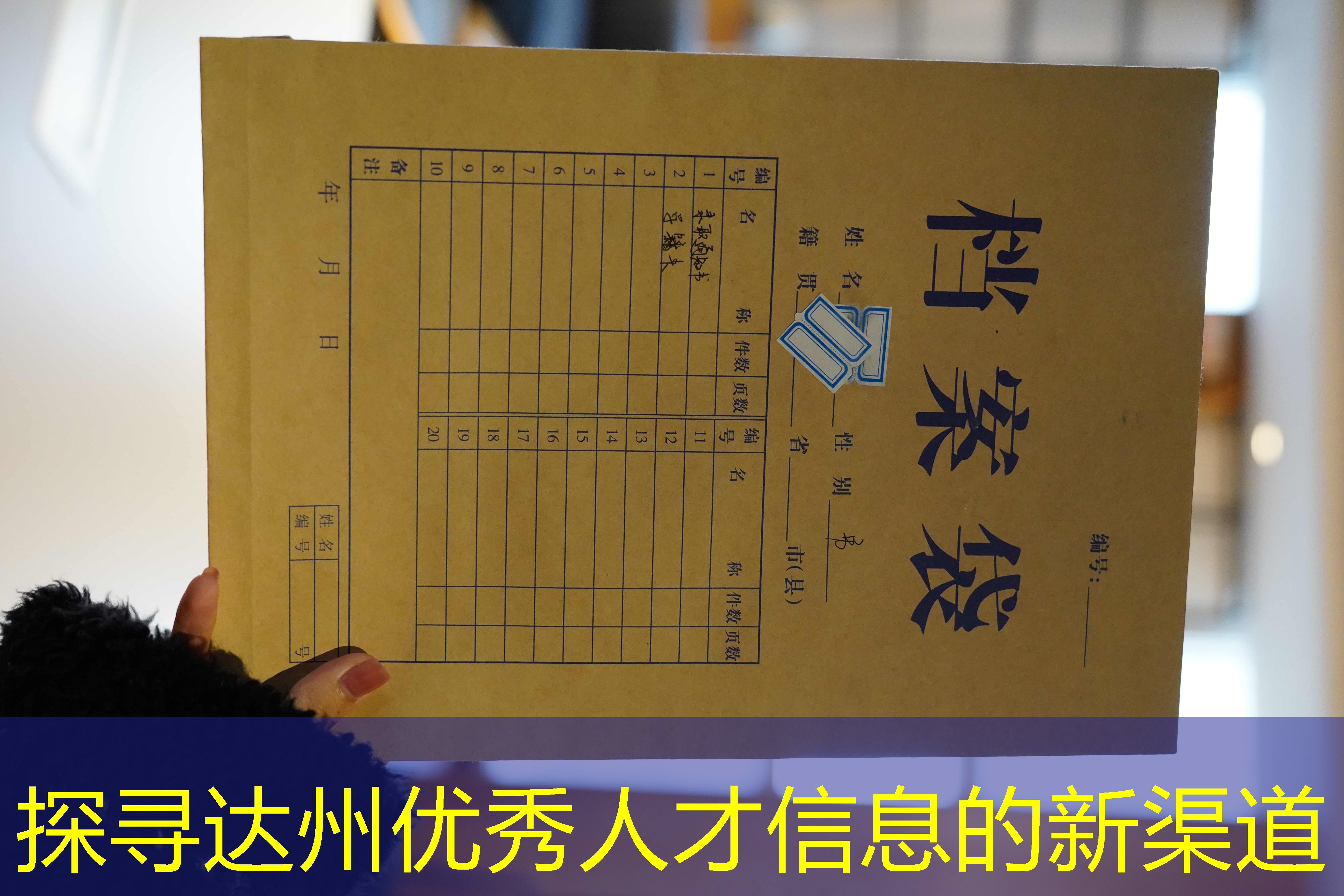 档案查询