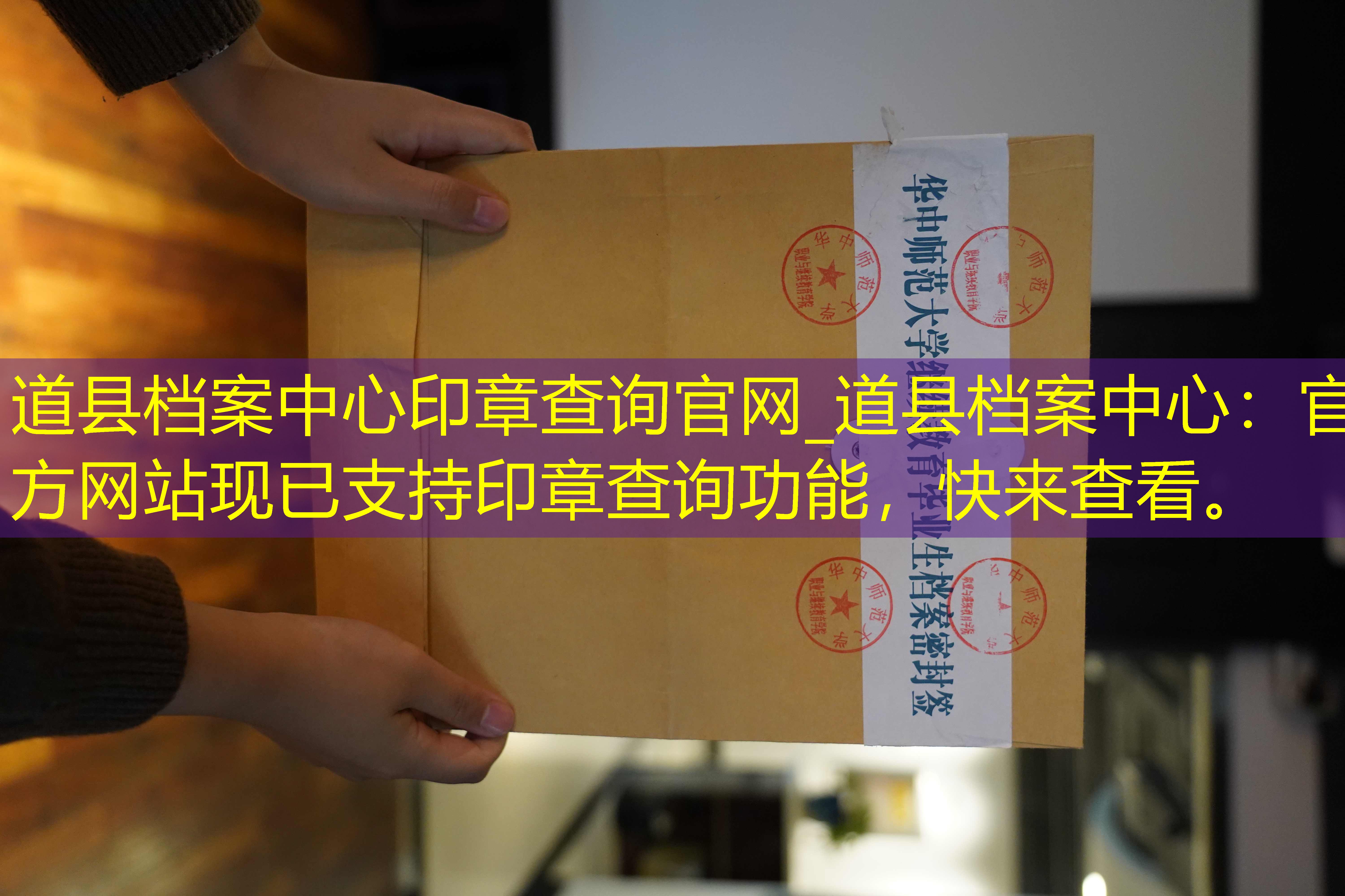 档案查询