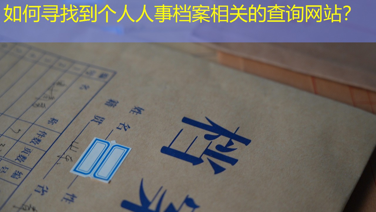 档案查询
