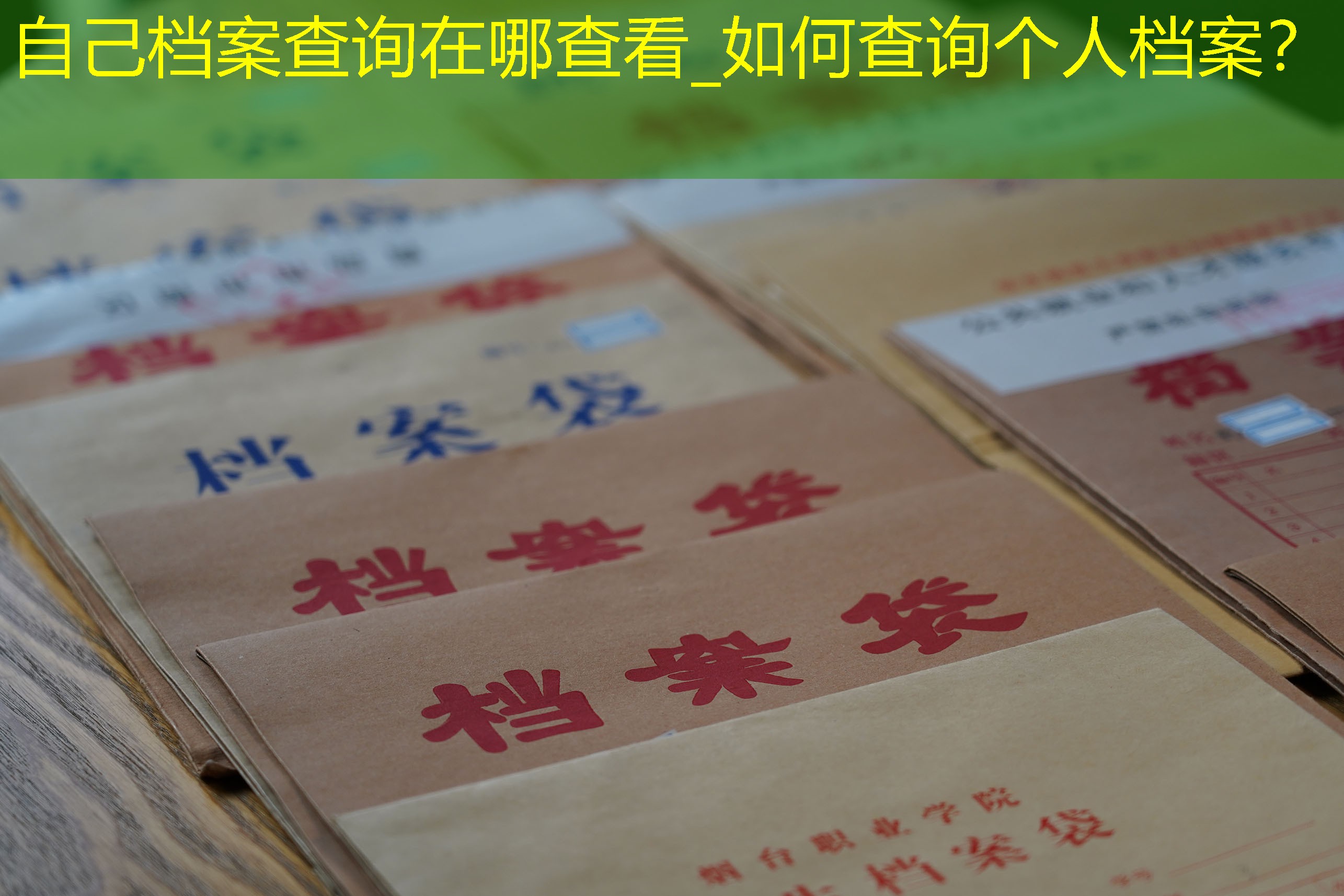 档案查询