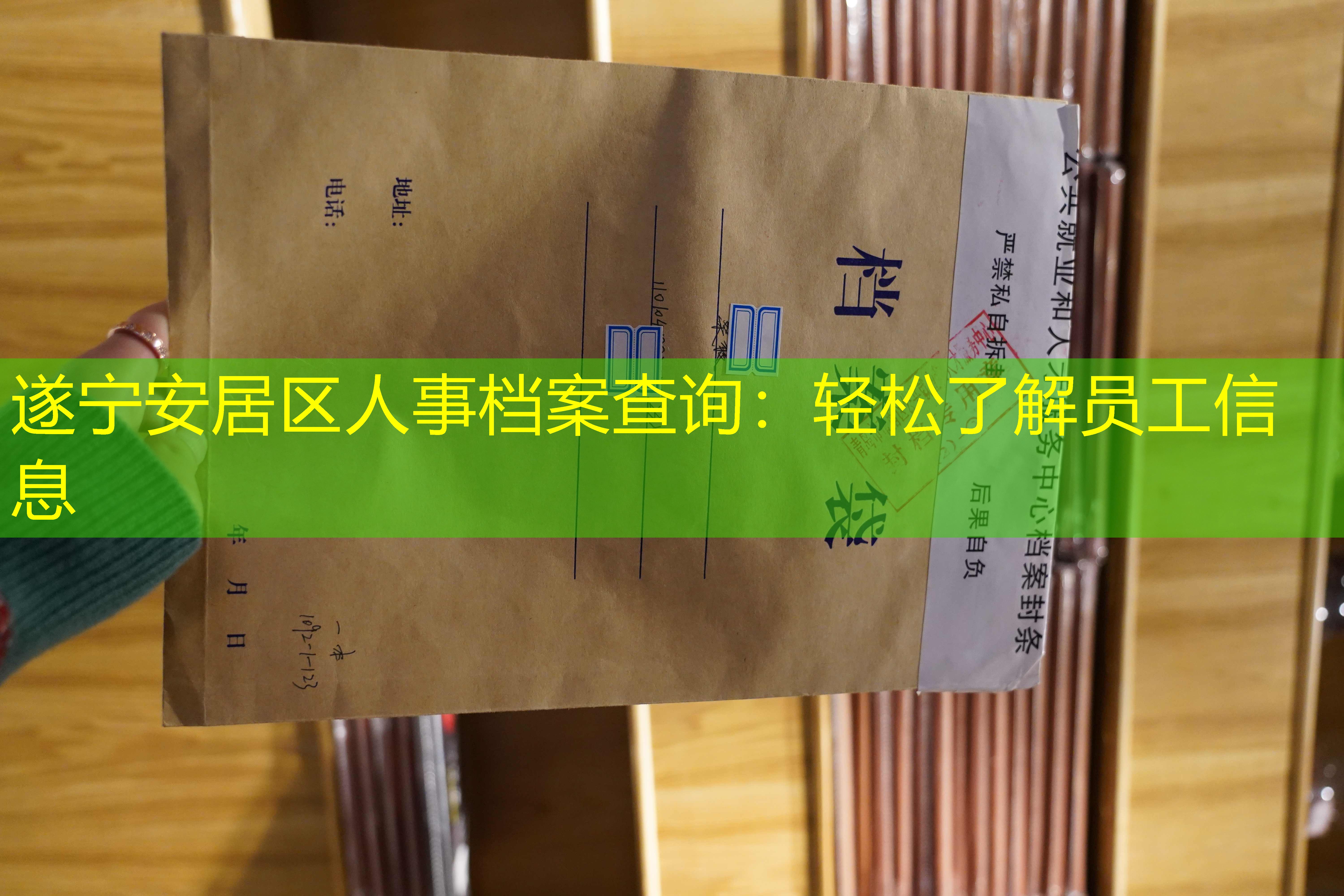 档案查询