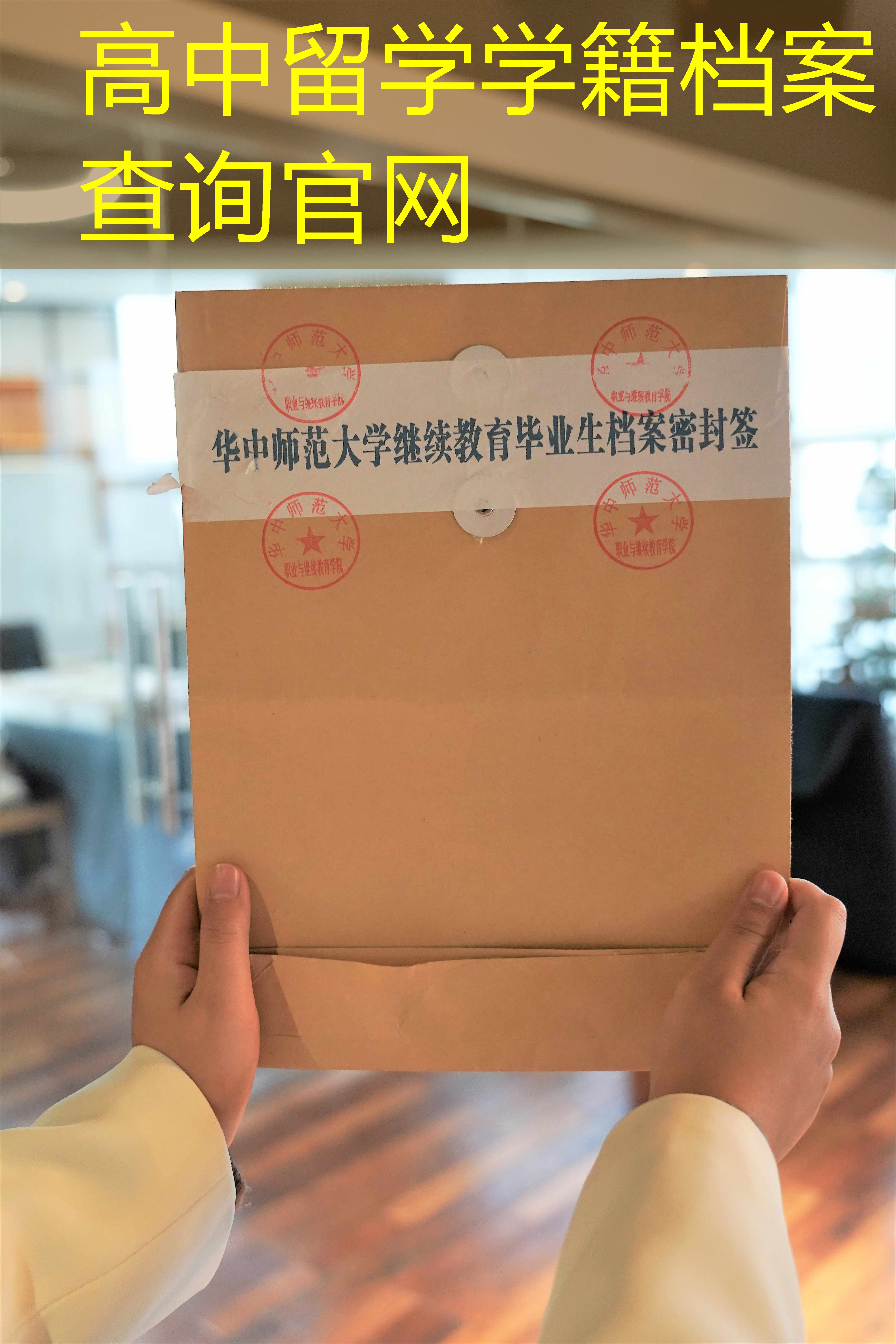档案查询