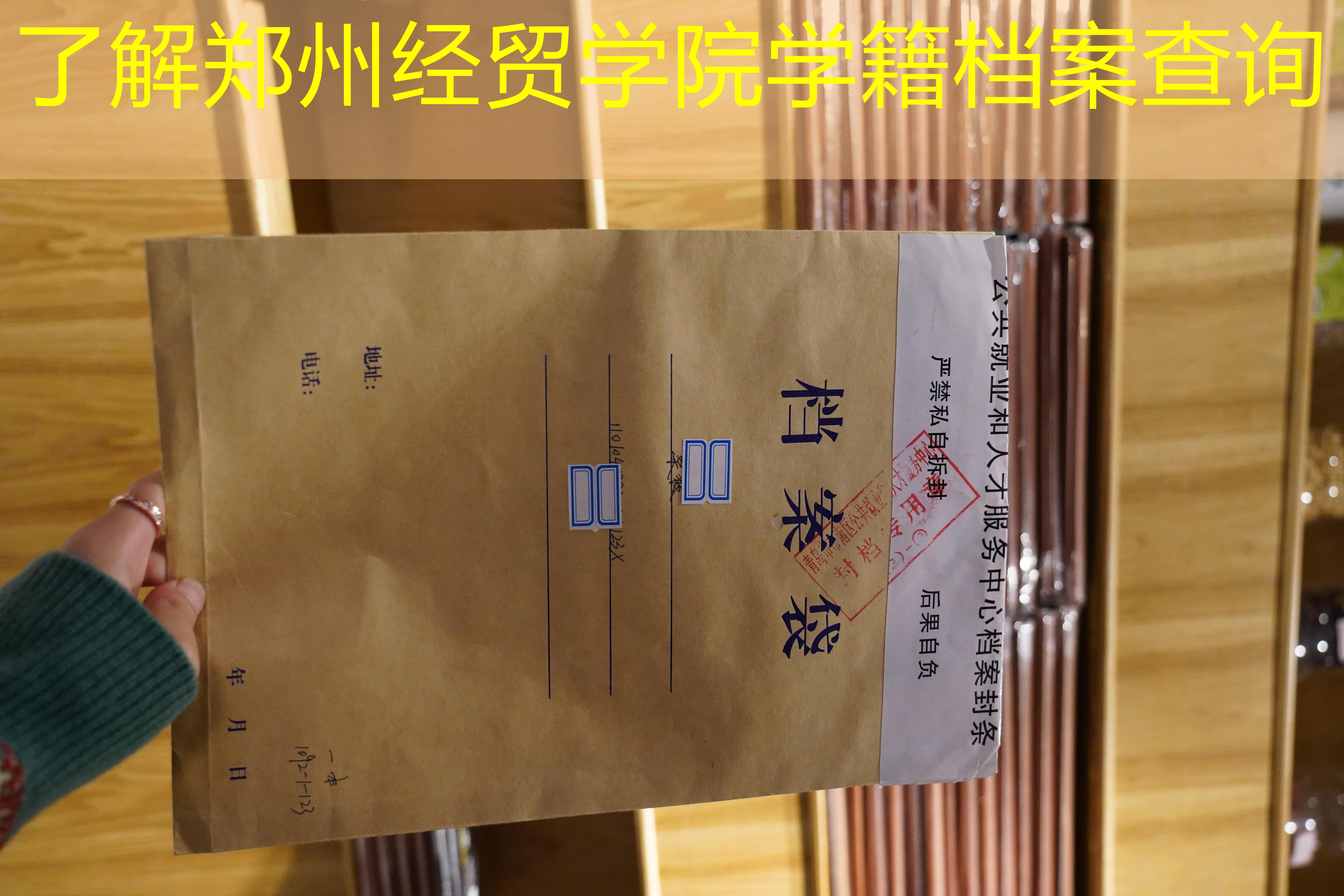 档案查询