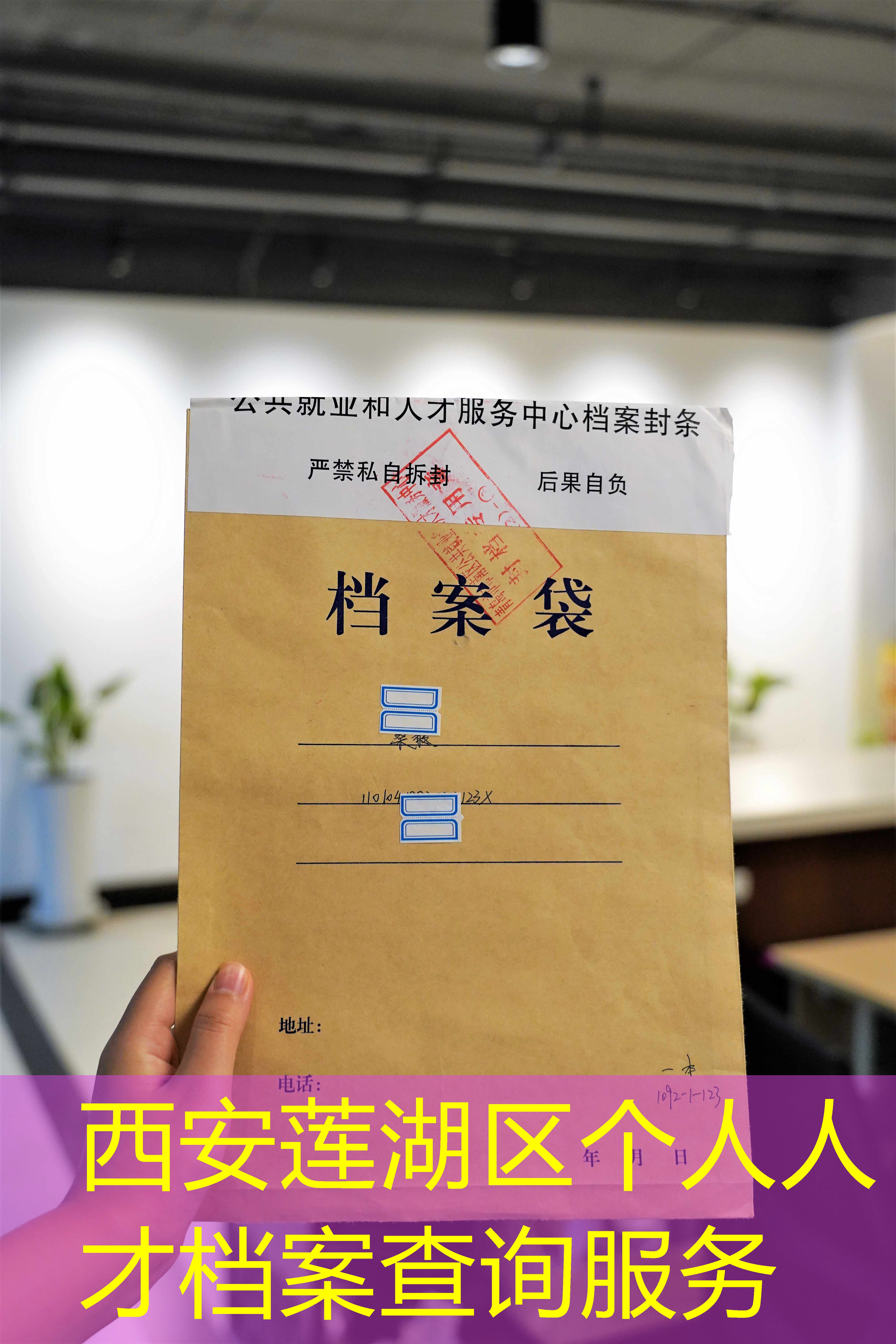档案查询