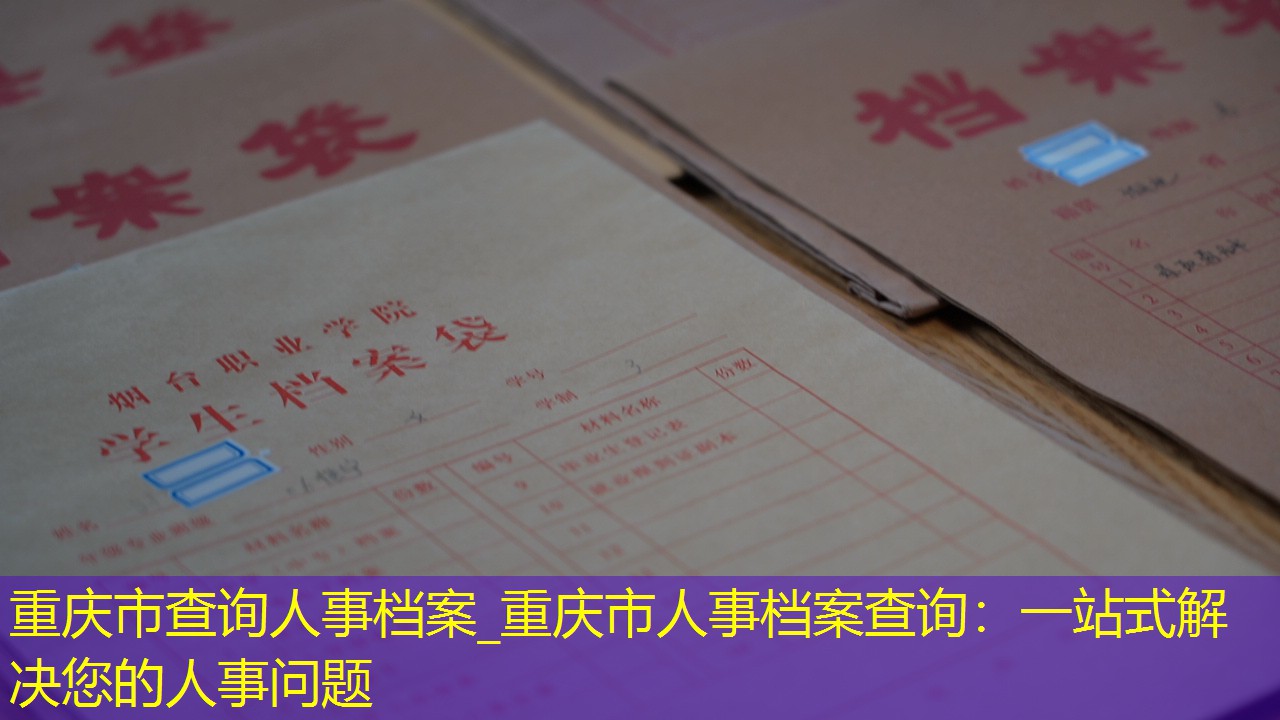档案查询