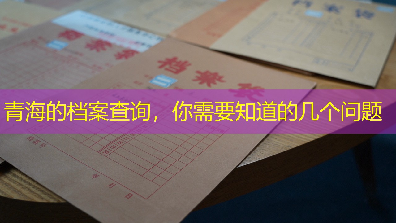 档案查询