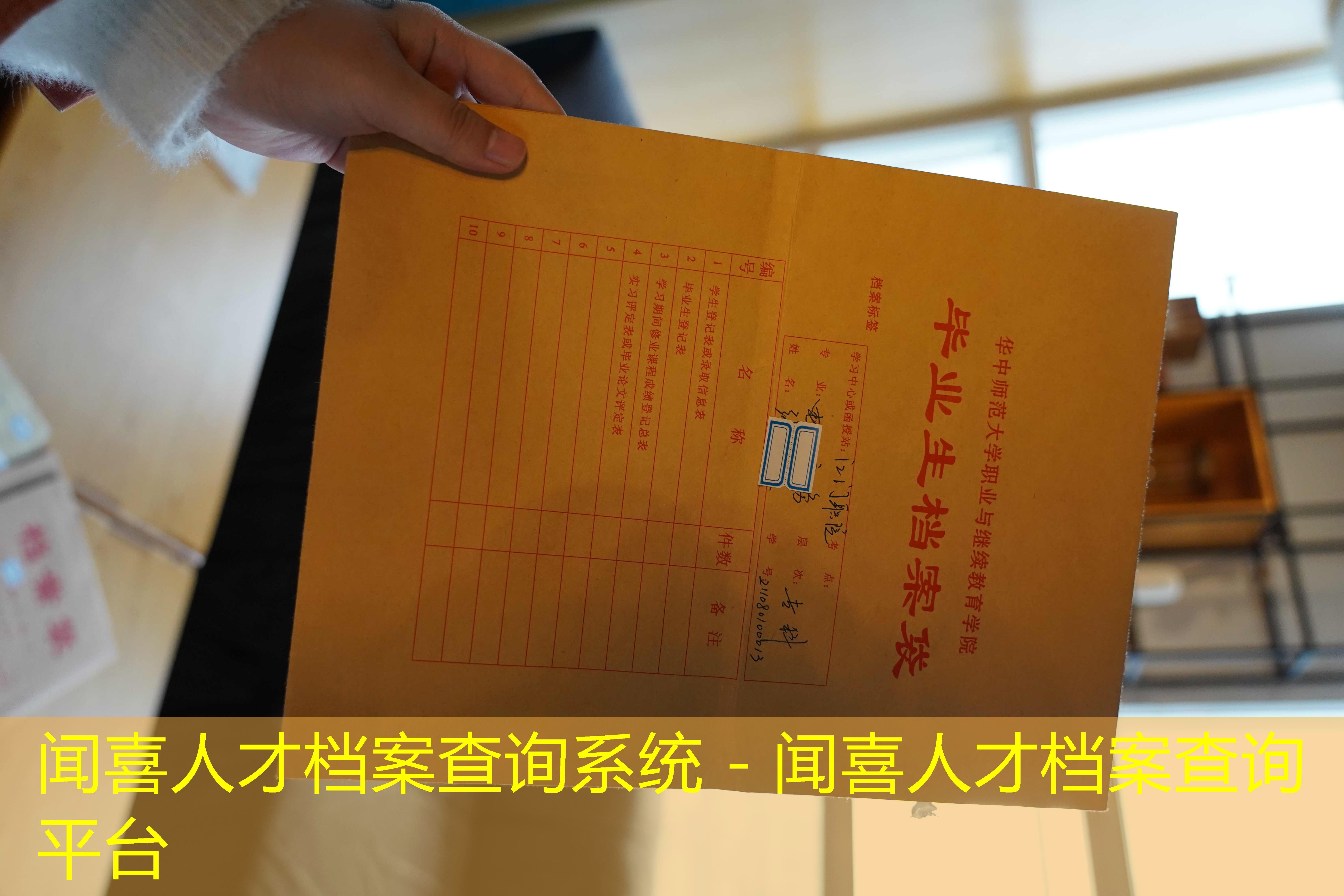档案查询