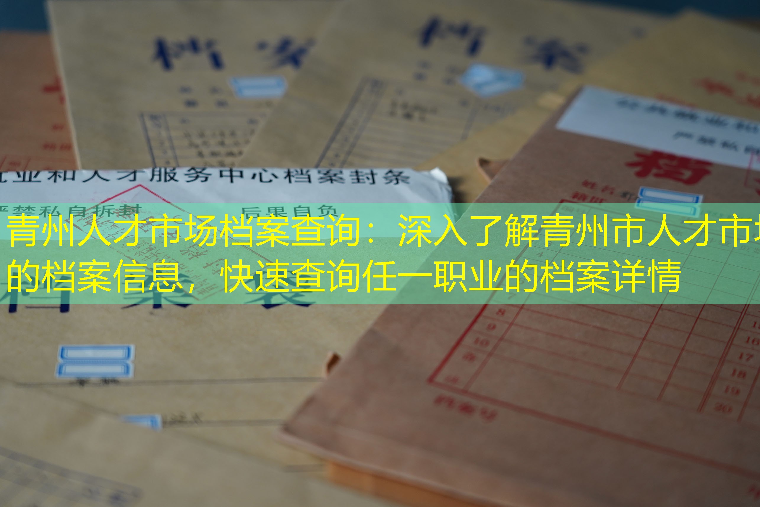 档案查询