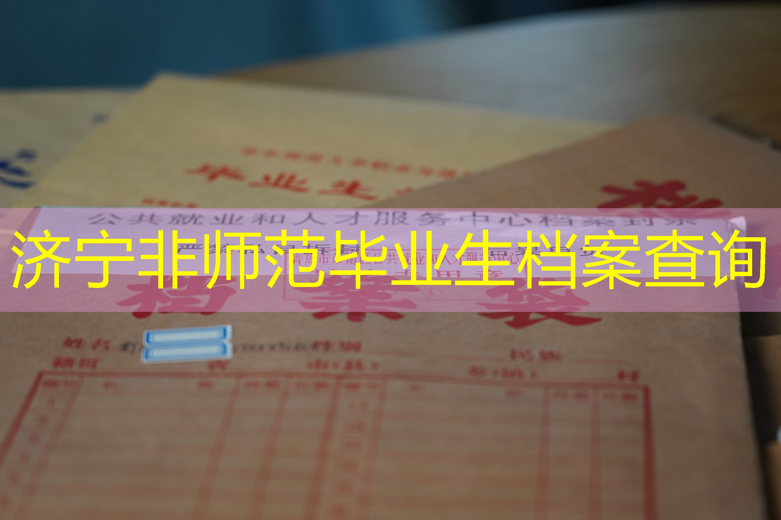 档案查询