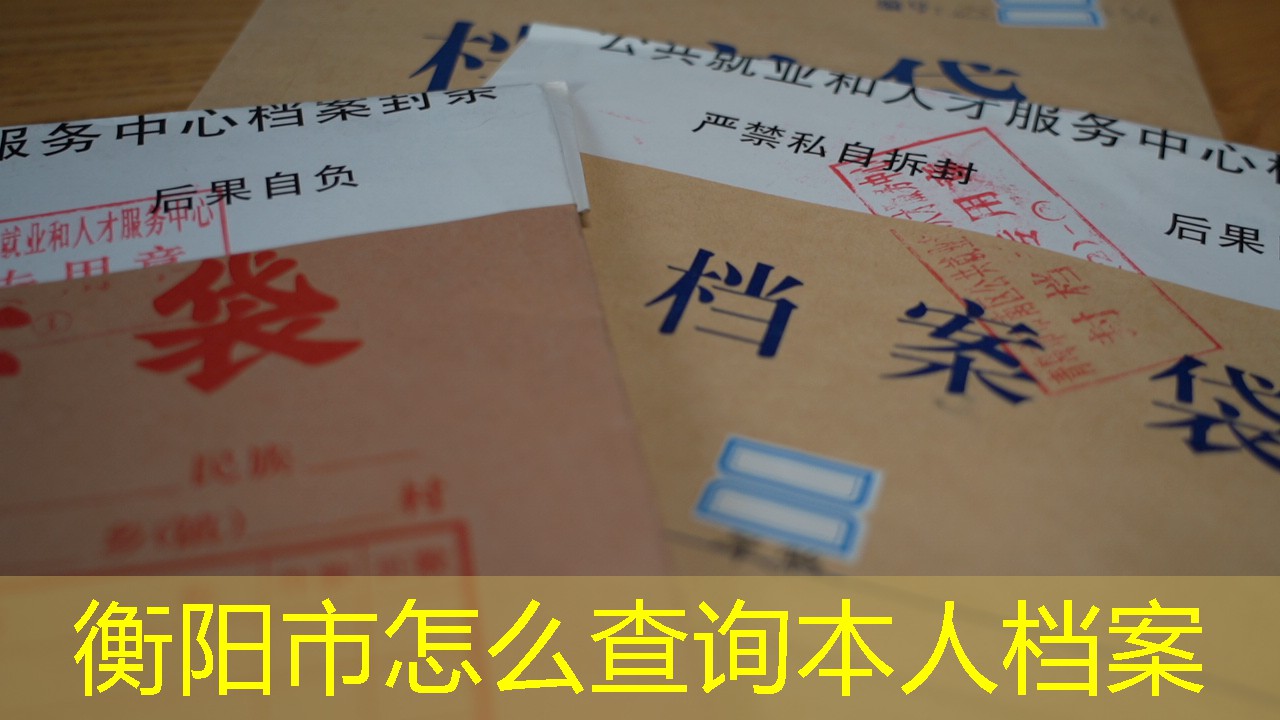 档案查询