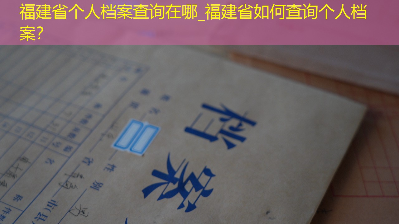 档案查询