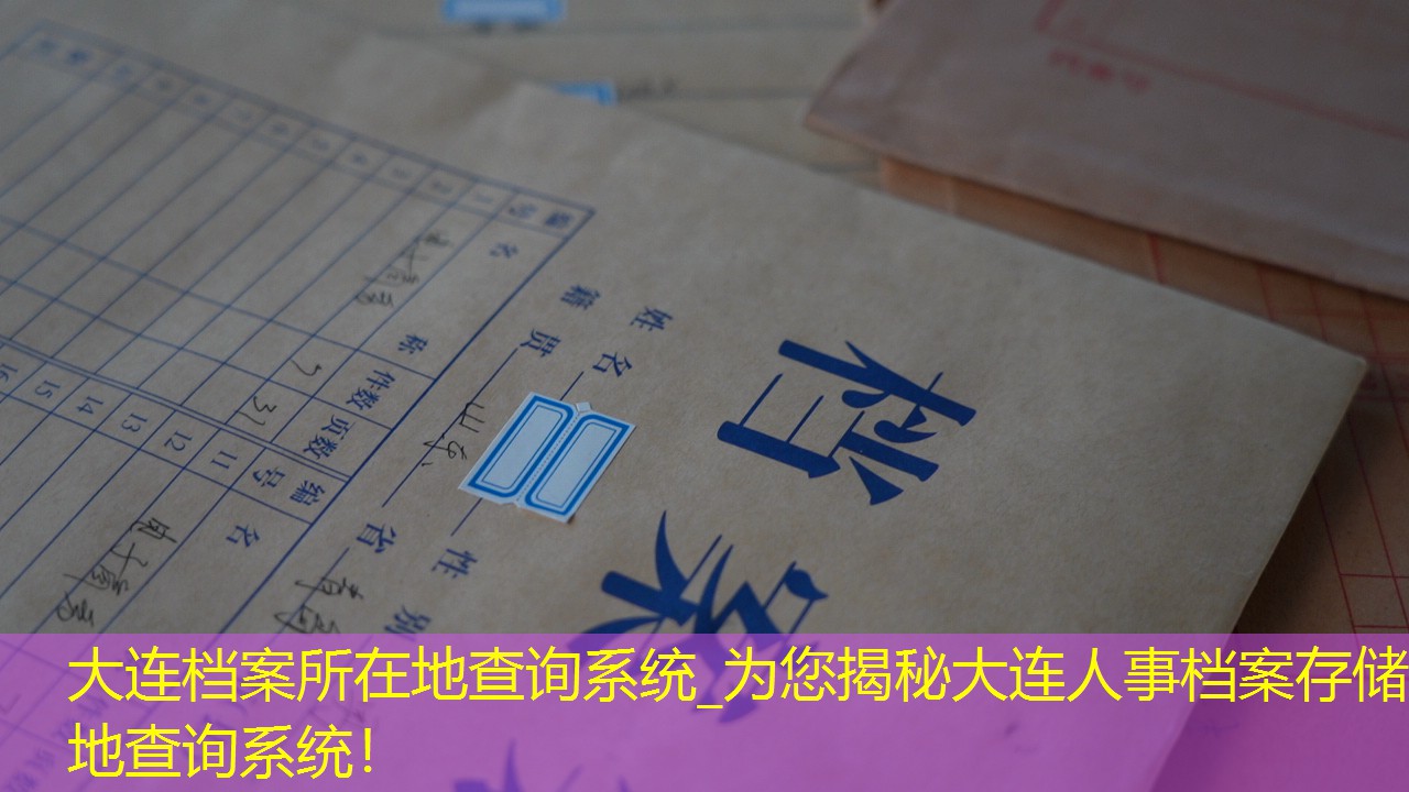 档案查询