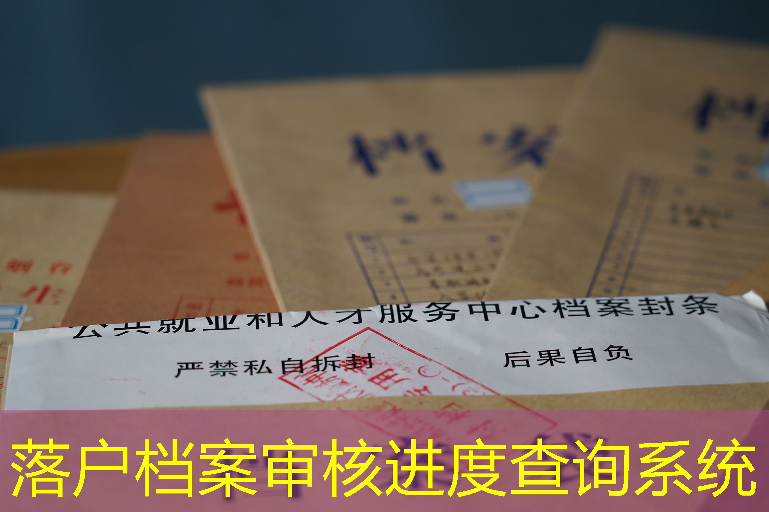 档案查询