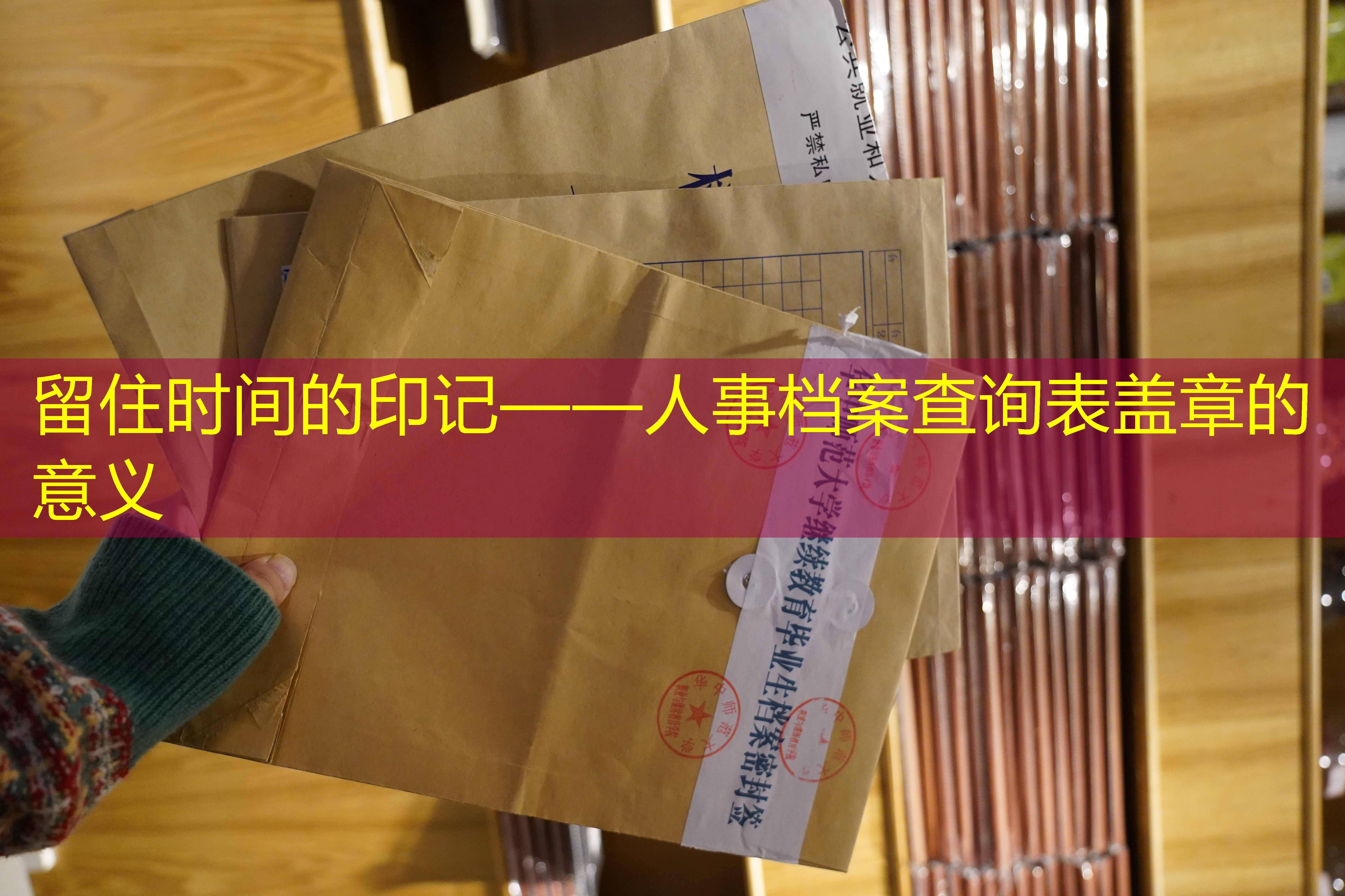 档案查询