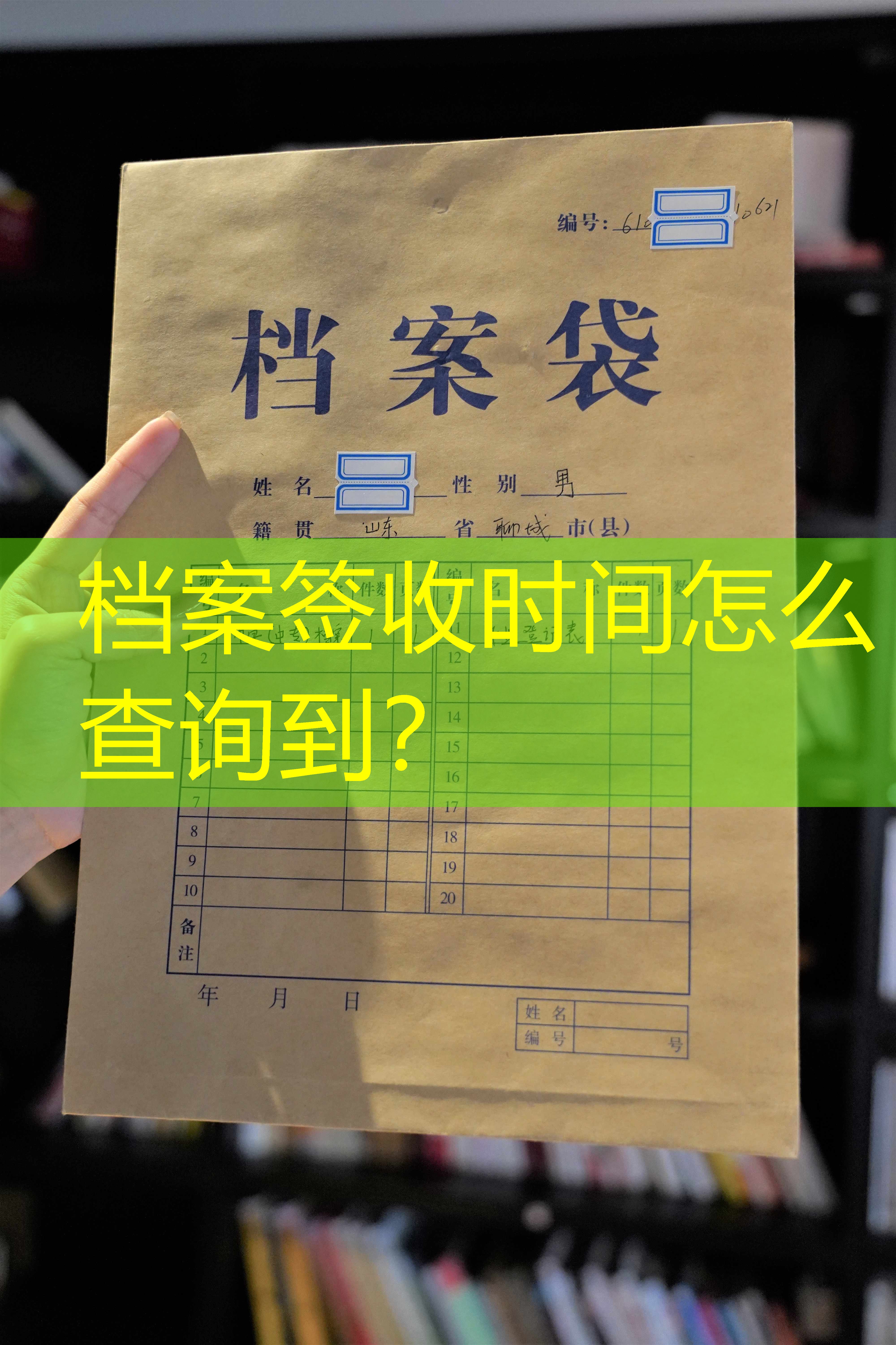 档案查询