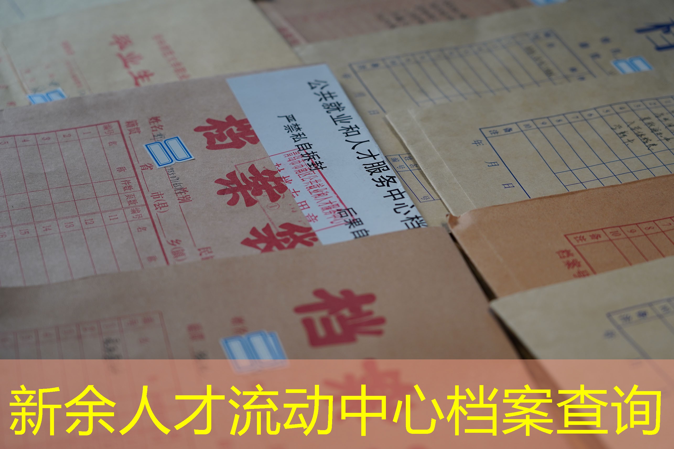 档案查询