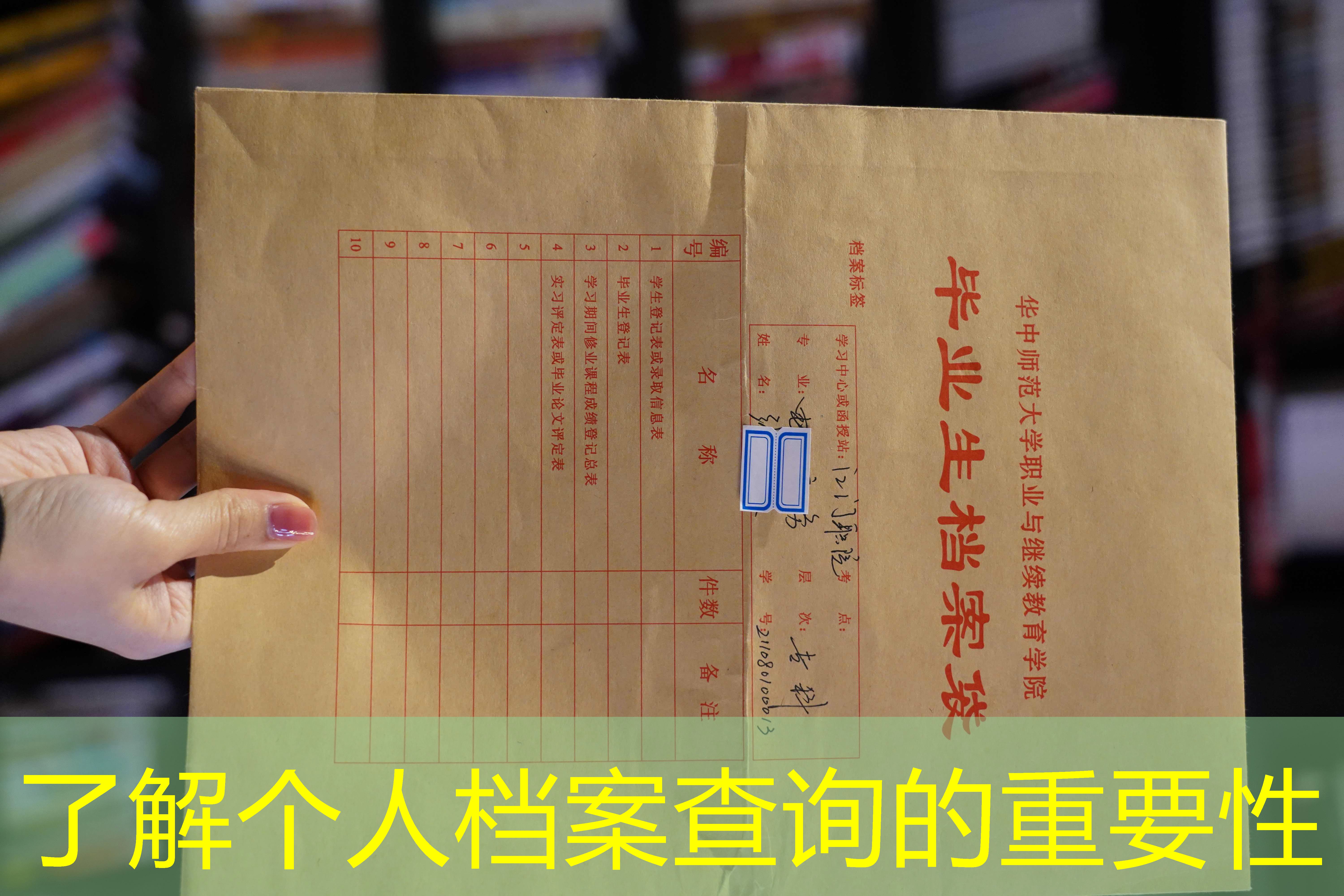 档案查询